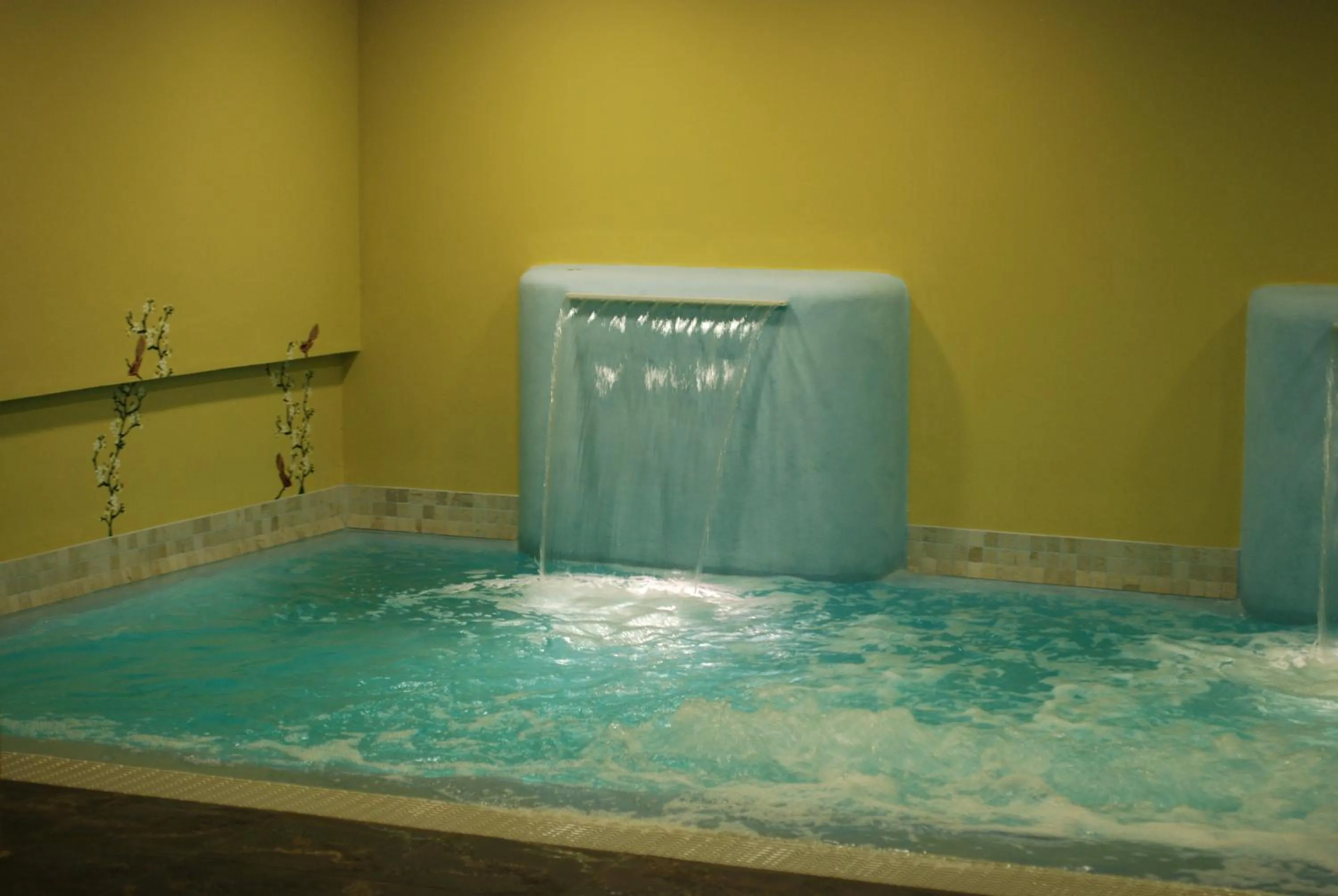 Hot Tub in Hotel Aurora