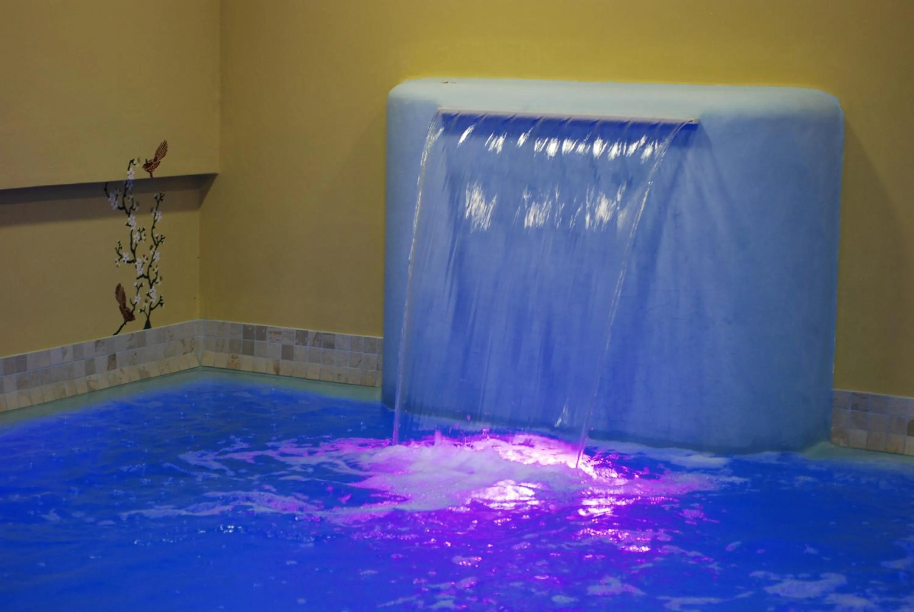 Swimming pool in Hotel Aurora