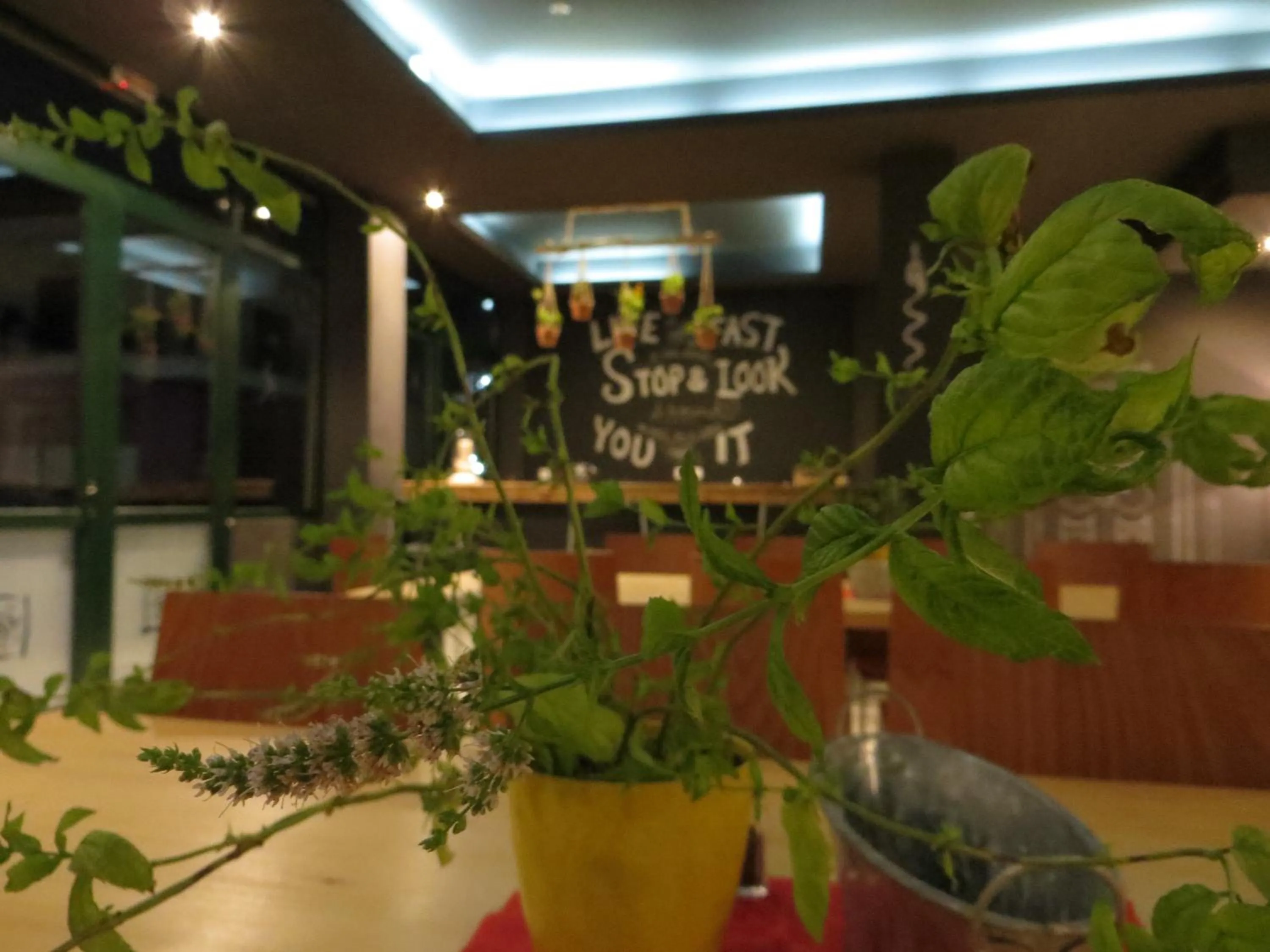 Communal lounge/ TV room in Leonidaion Guesthouse