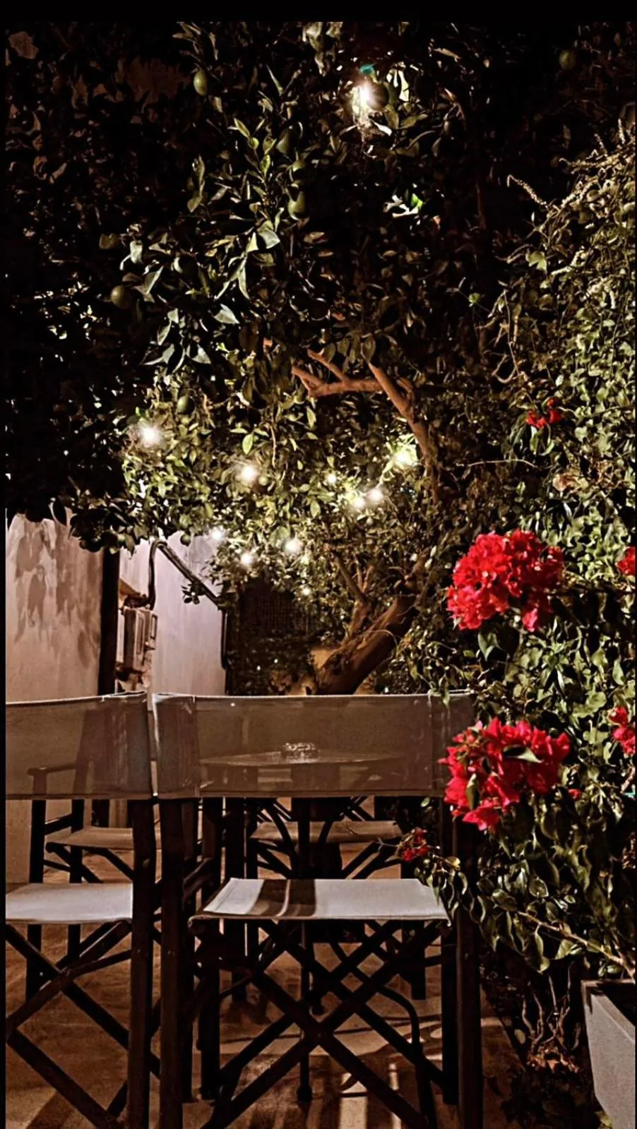 Garden in Leonidaion Guesthouse