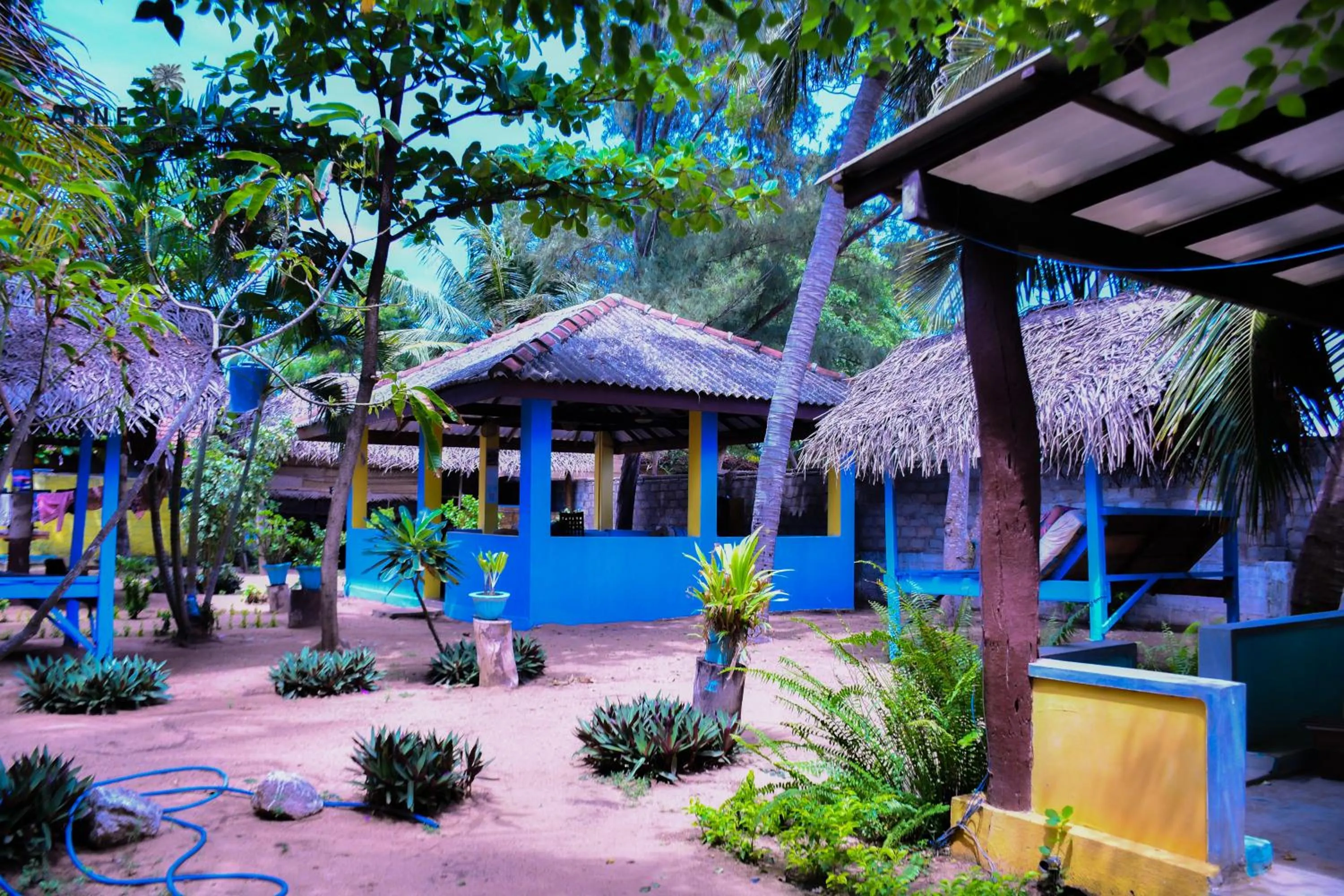 Garden in Arne's Place