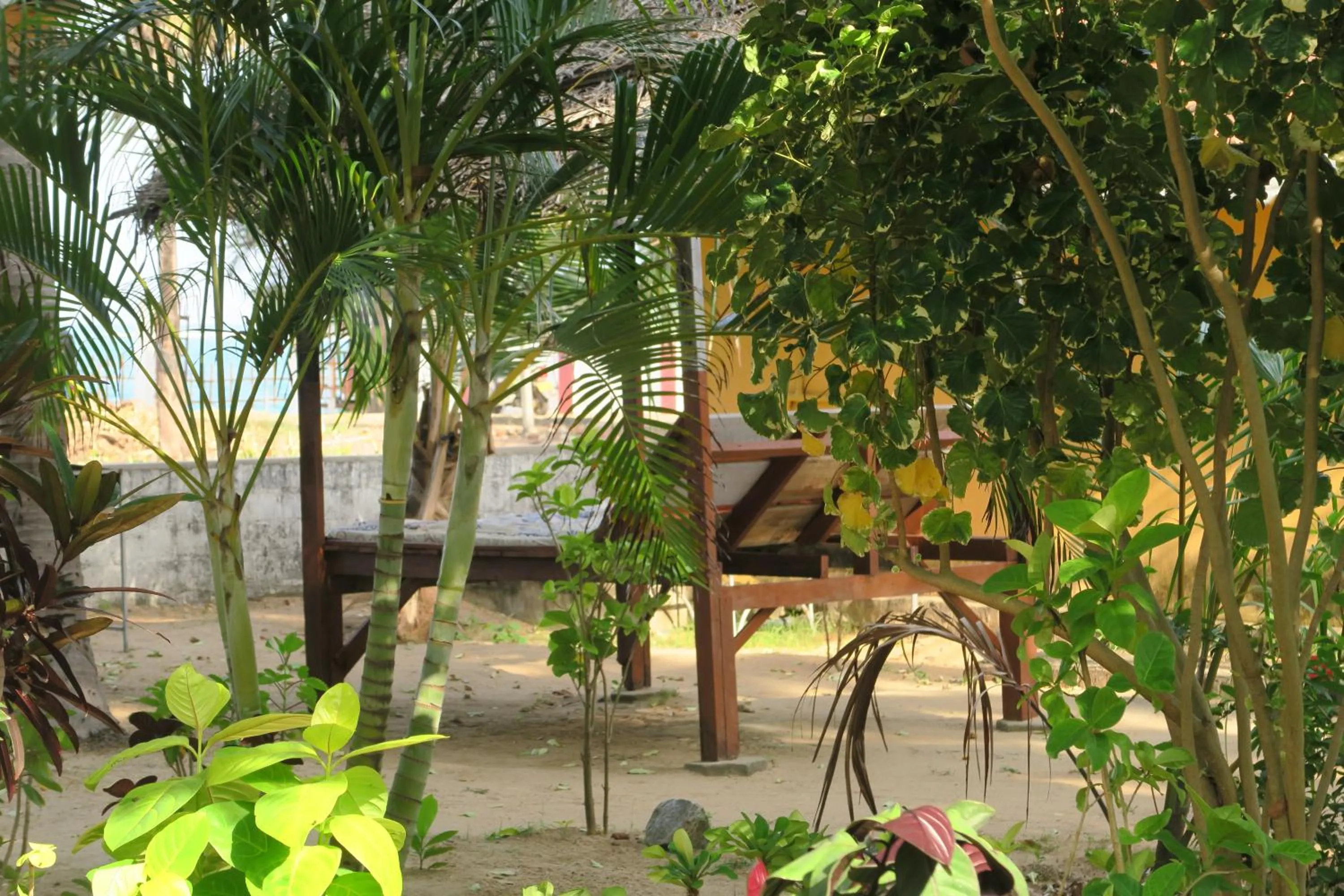 Garden in Arne's Place