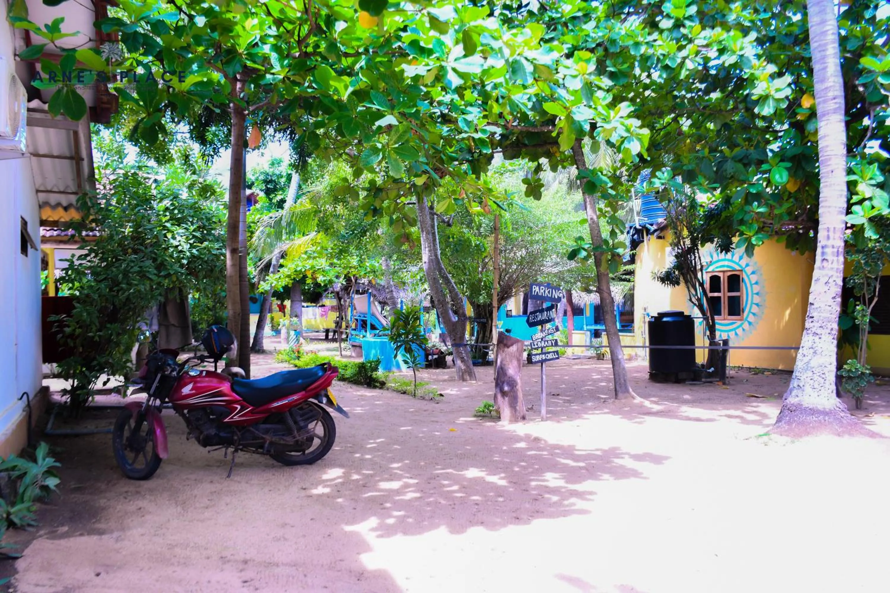 Natural landscape in Arne's Place