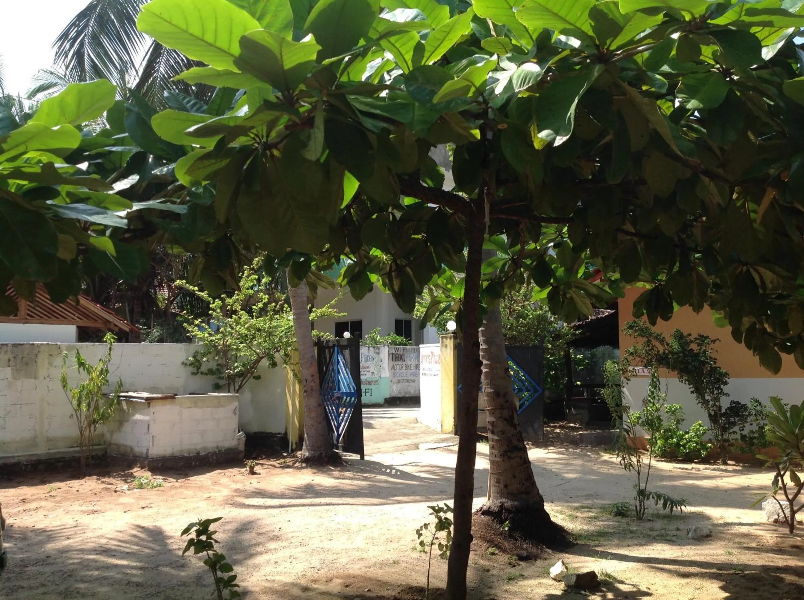 Natural landscape in Arne's Place