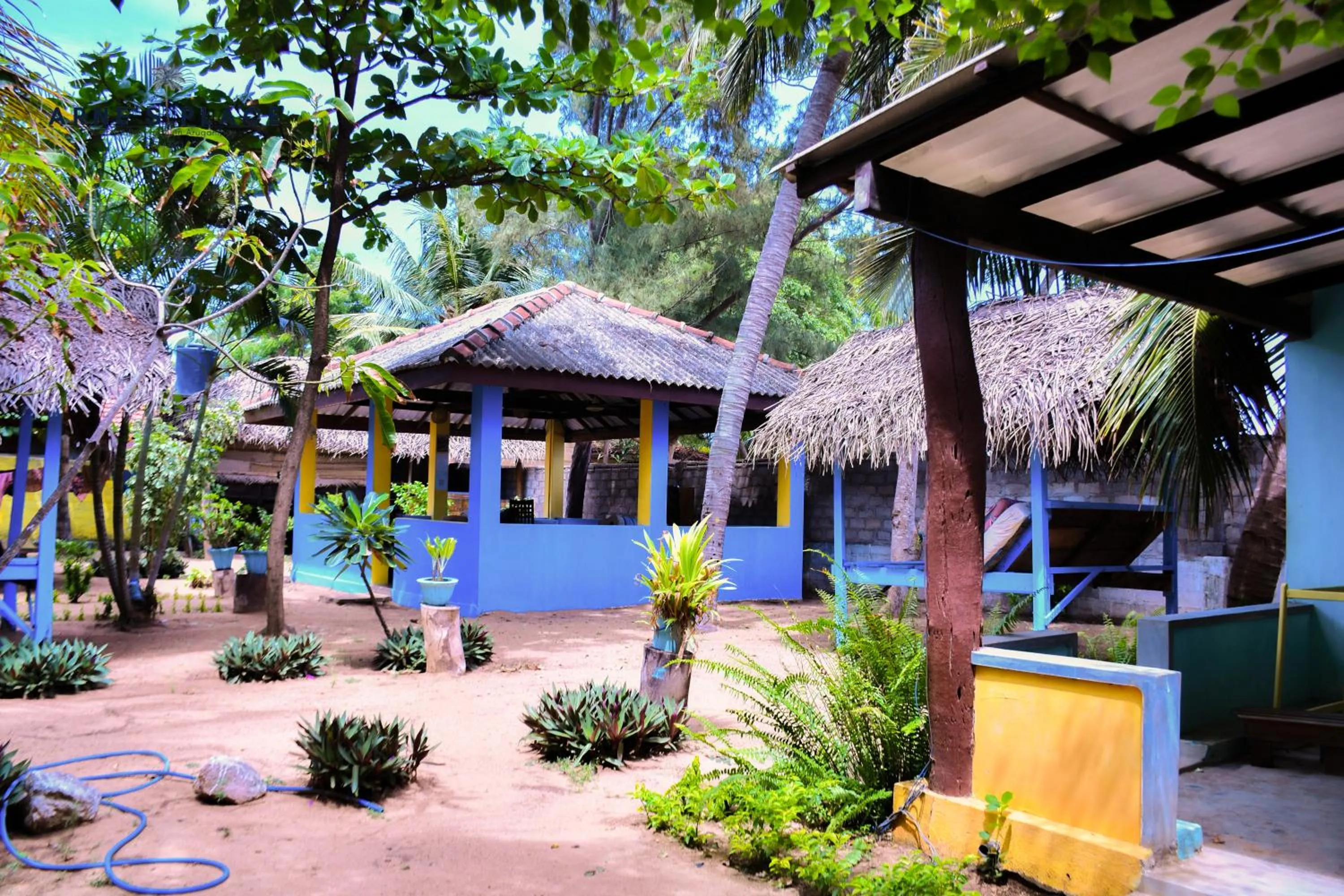 Restaurant/places to eat in Arne's Place