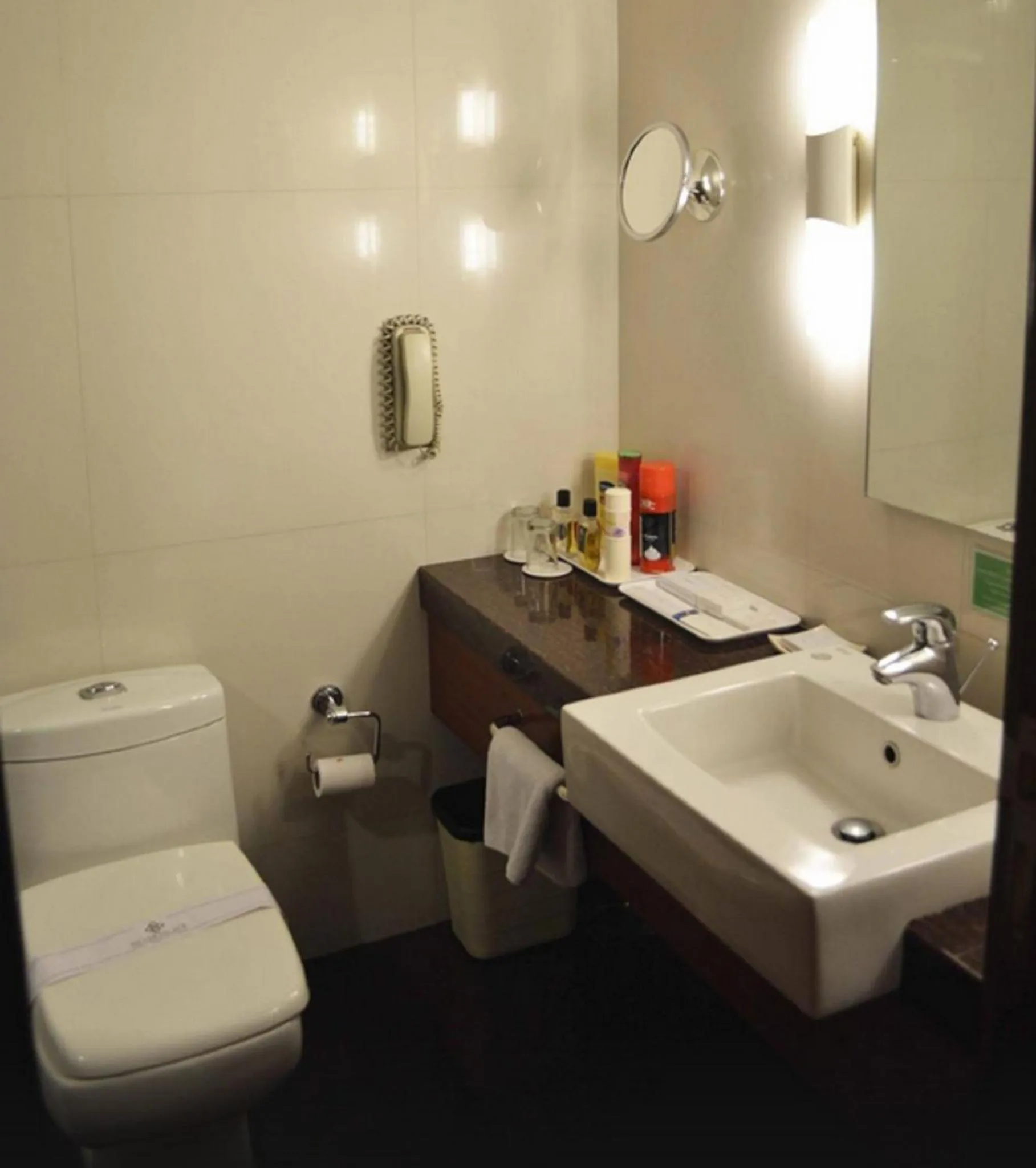 Toilet in Hotel Silver Palace