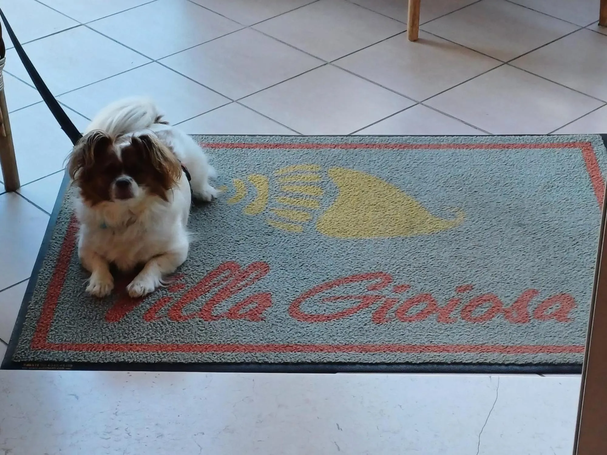 Hotel Villa Gioiosa - Beach & Bistrot