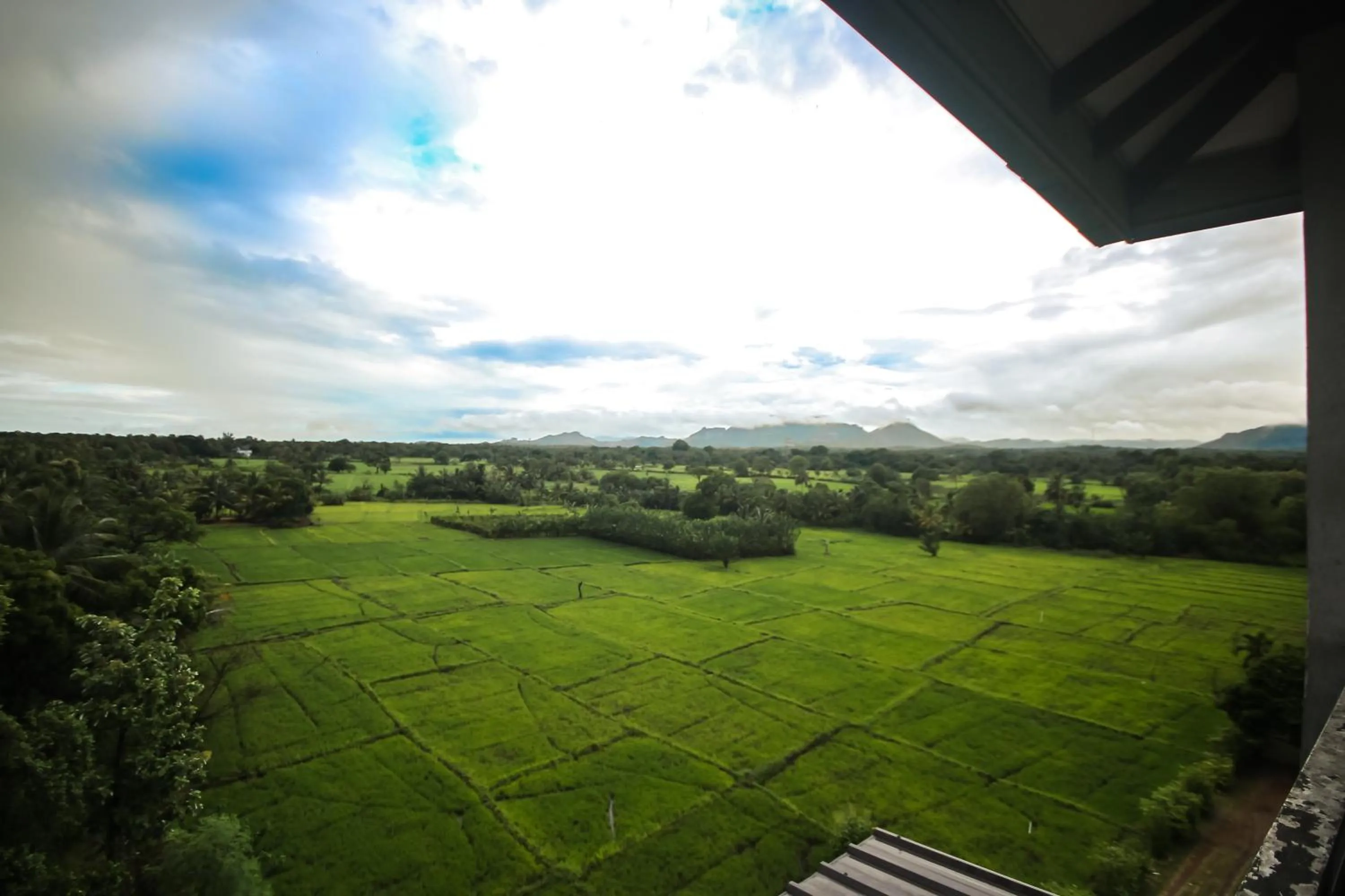 Garden view in Hotel Silver Horse Dambulla