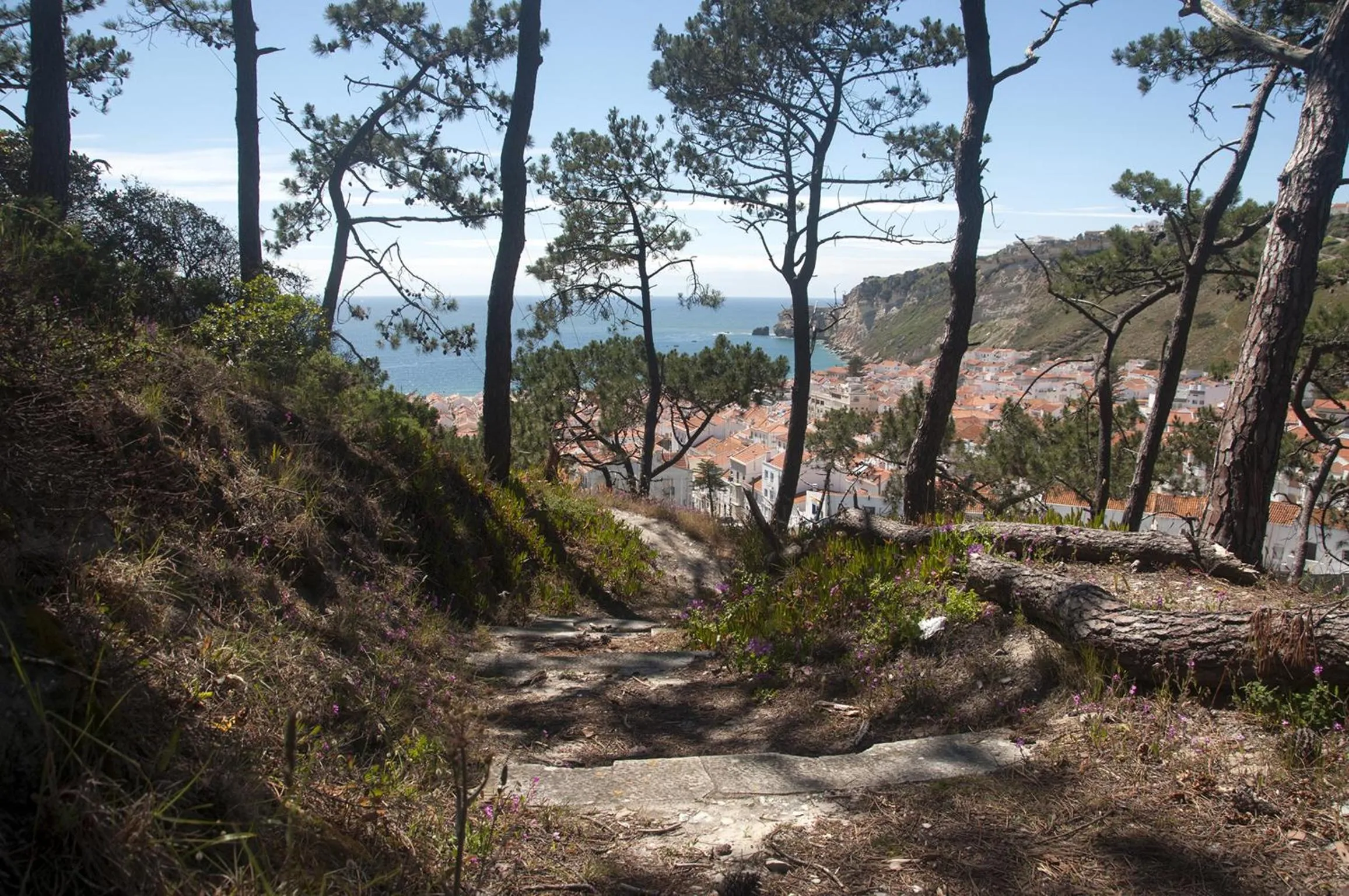 Nearby landmark in Gaivota Holidays