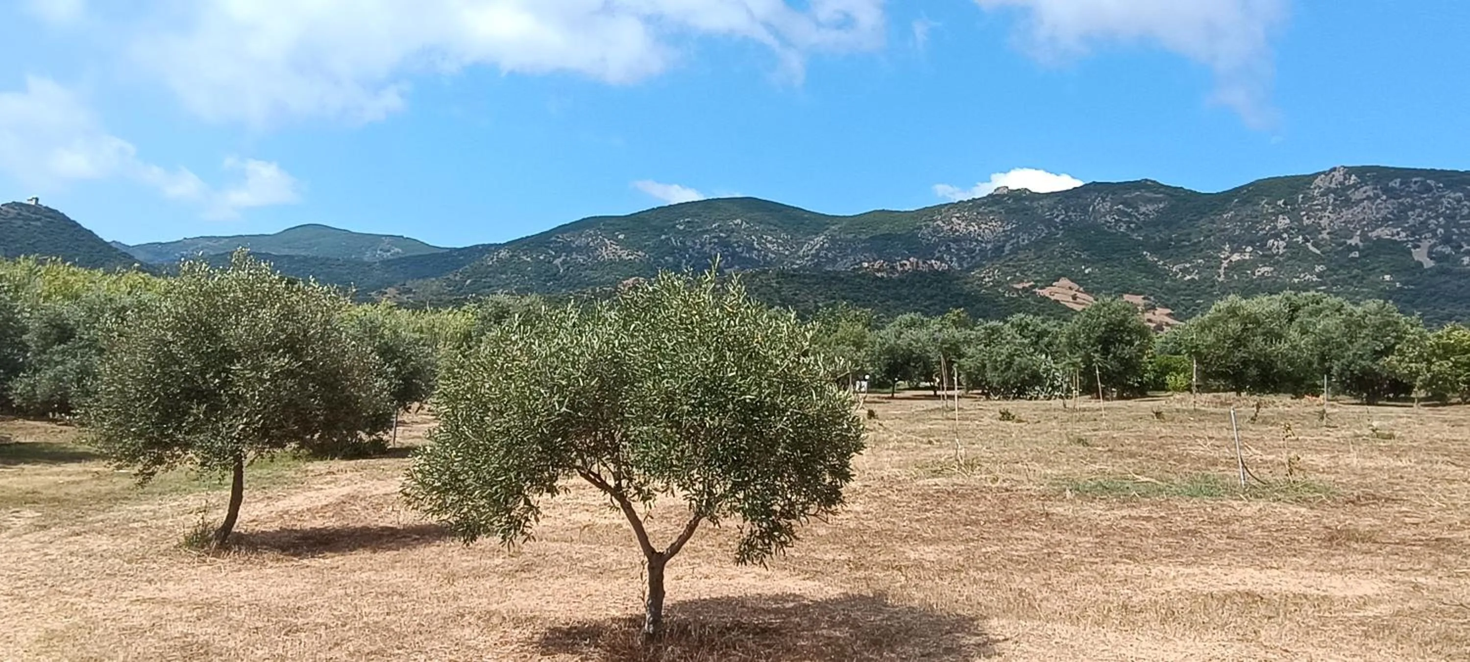 Sa Teria Village - Appartamenti -