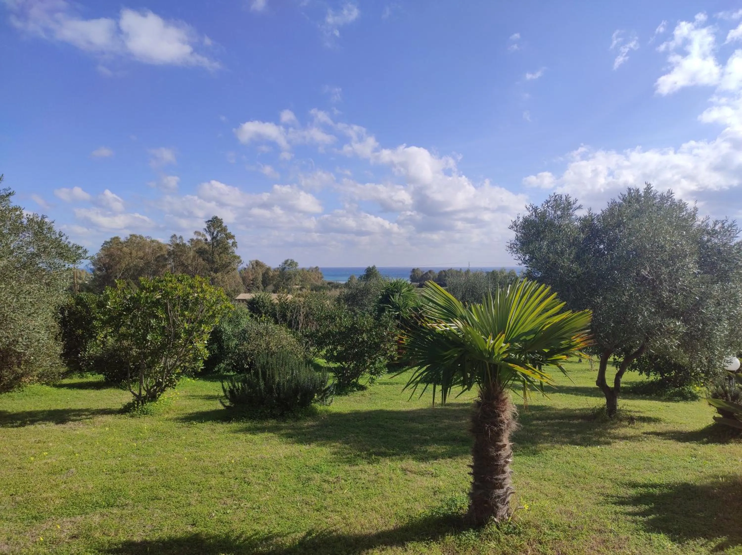 Natural landscape in Sa Teria Village - Appartamenti -