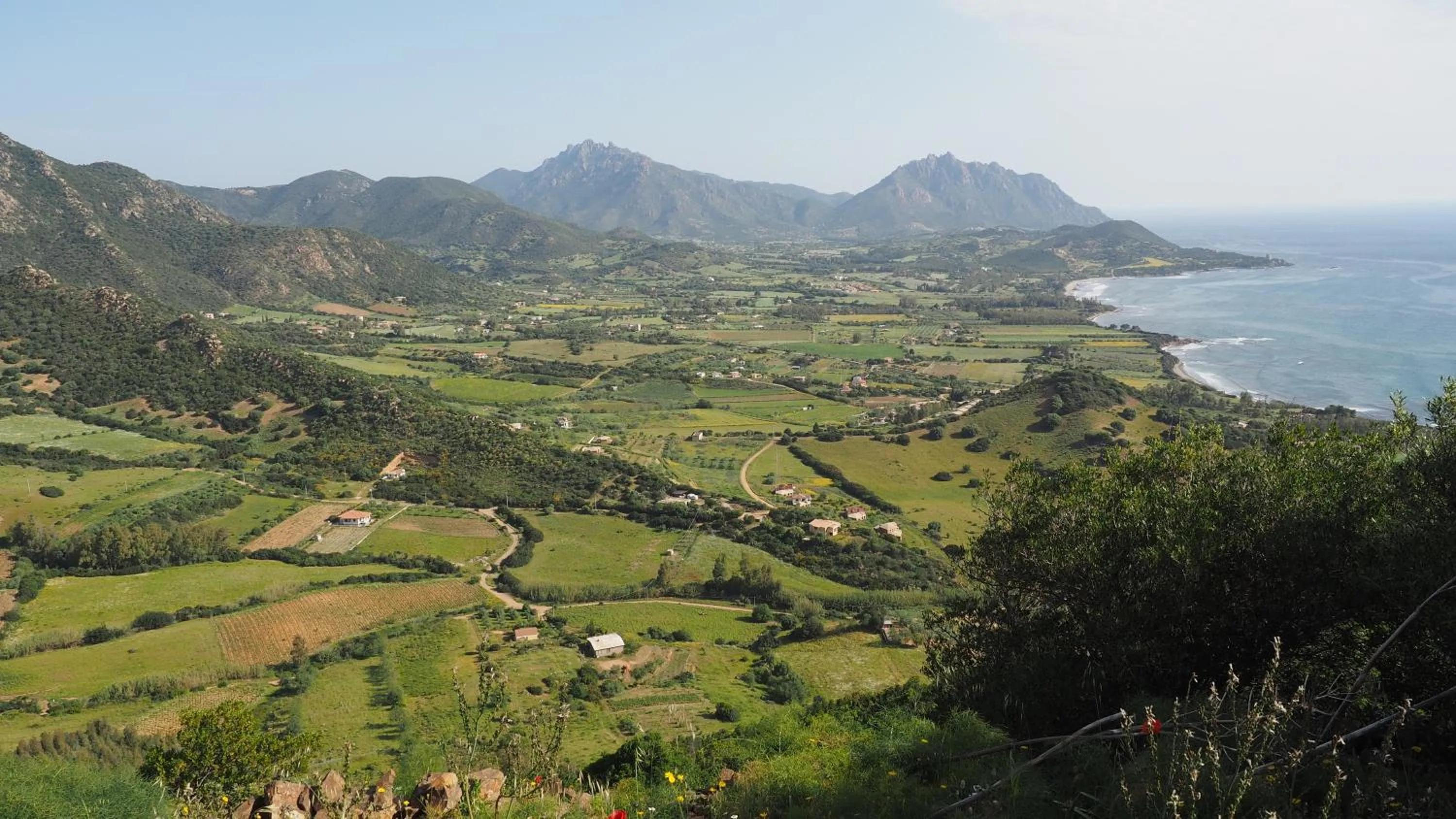 Natural landscape in Sa Teria Village - Appartamenti -