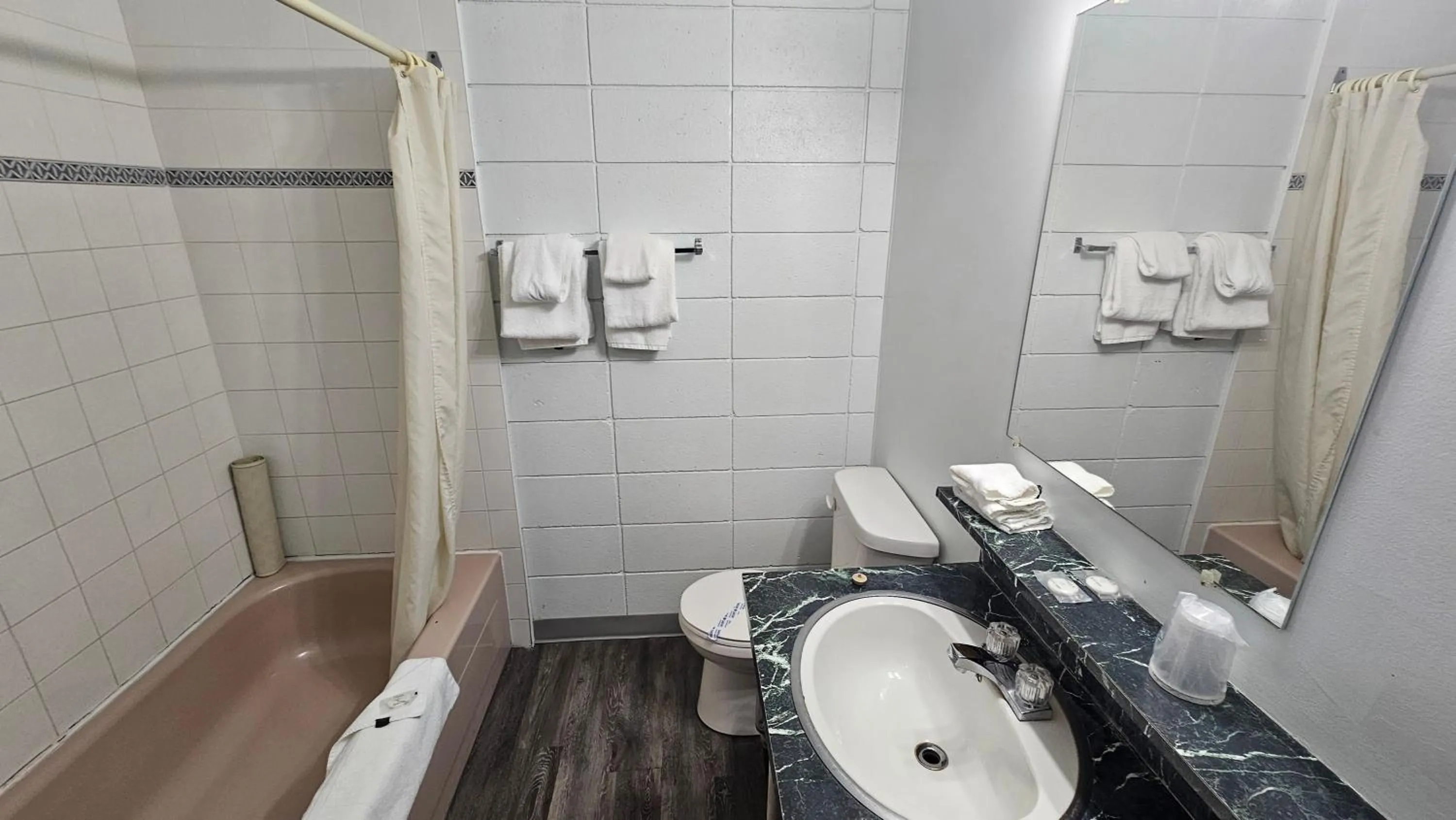 Shower in Camelot Court Motel