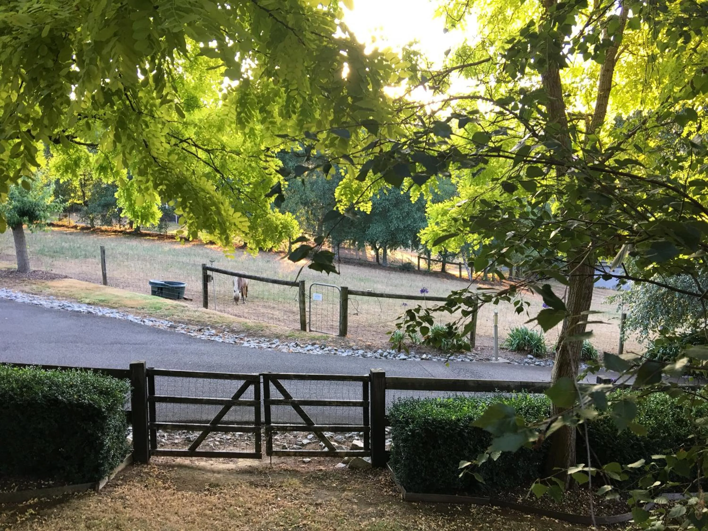 Natural landscape in Emerald Ridge