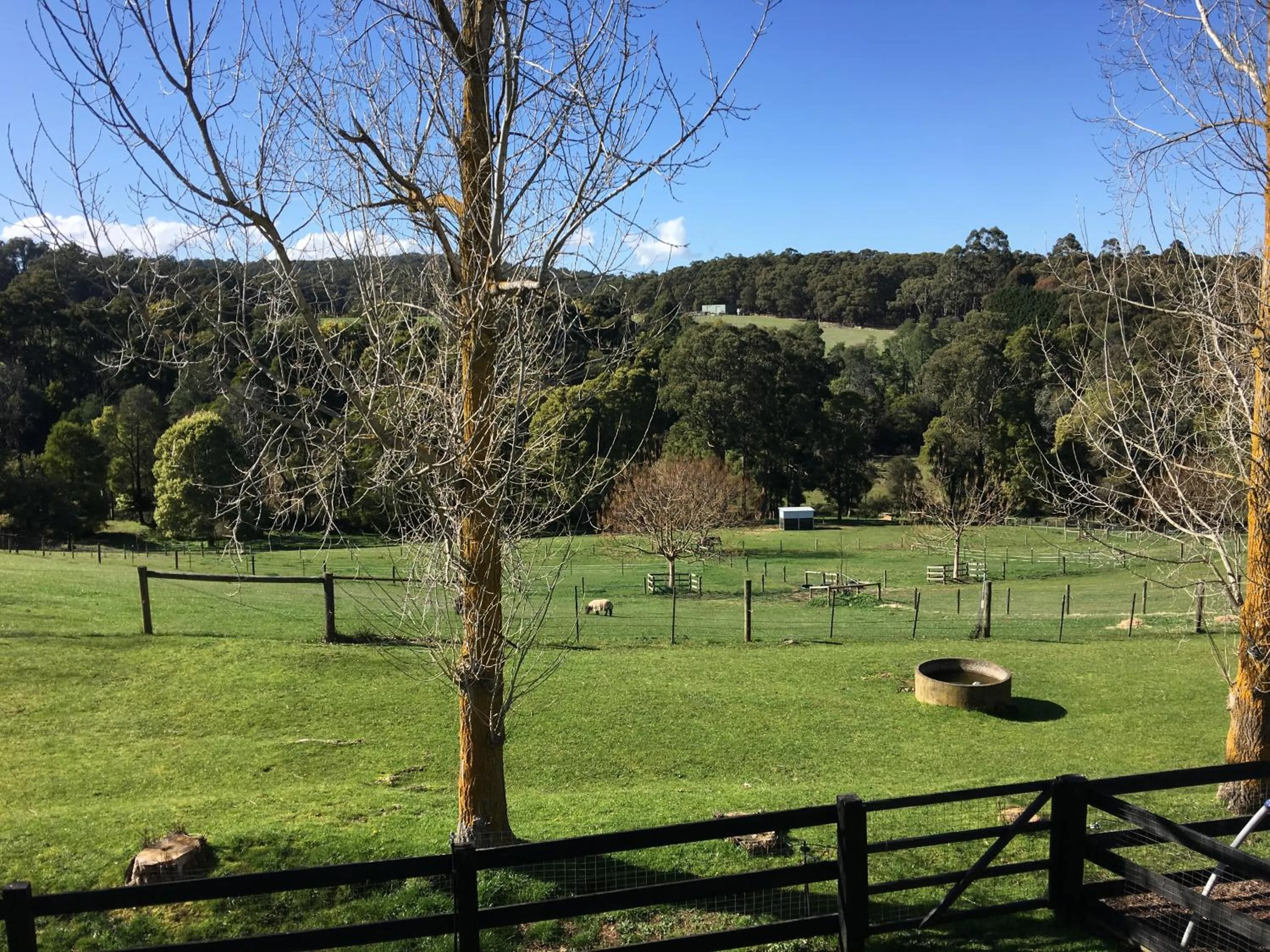 Garden in Emerald Ridge