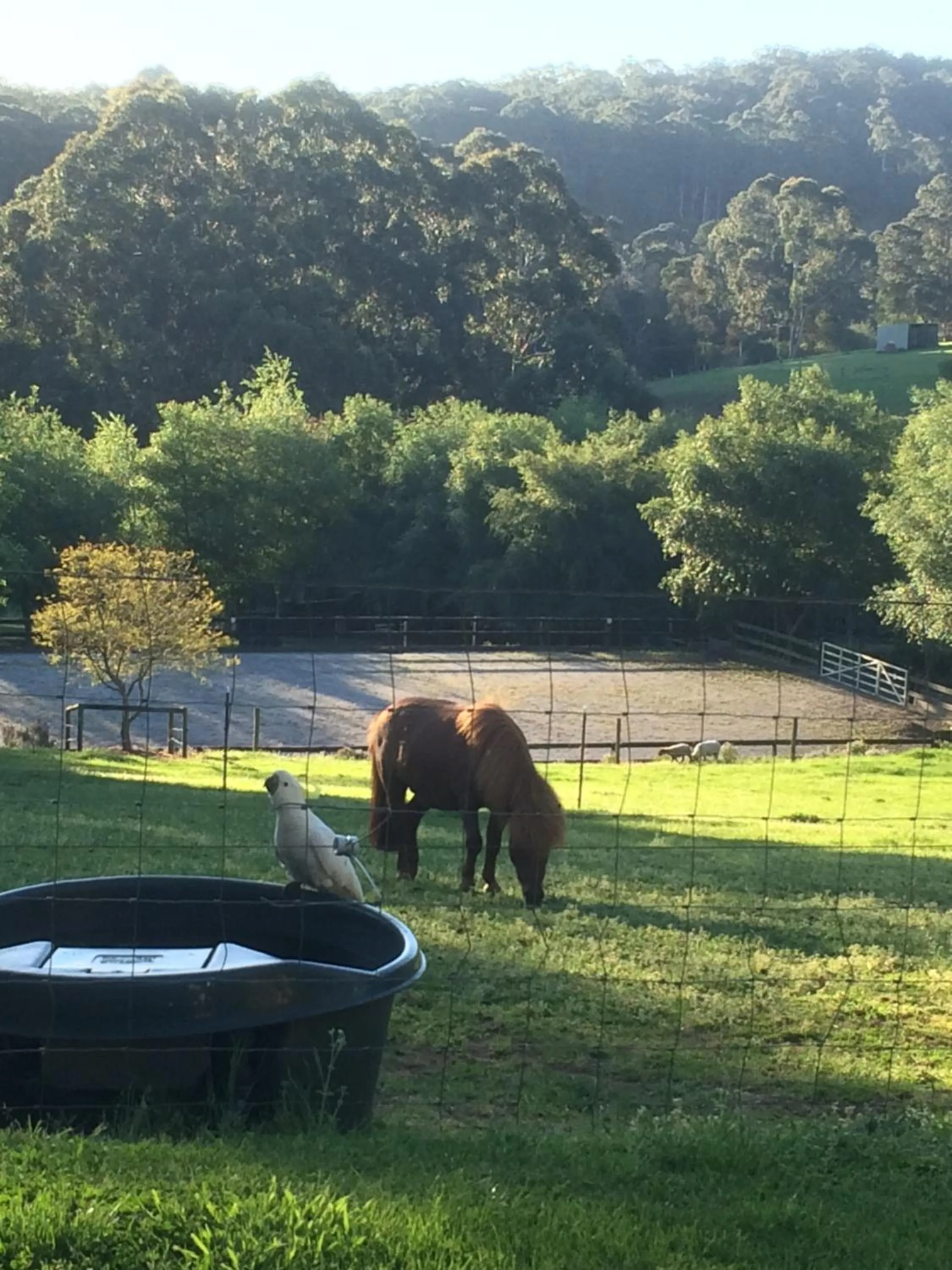 Garden in Emerald Ridge
