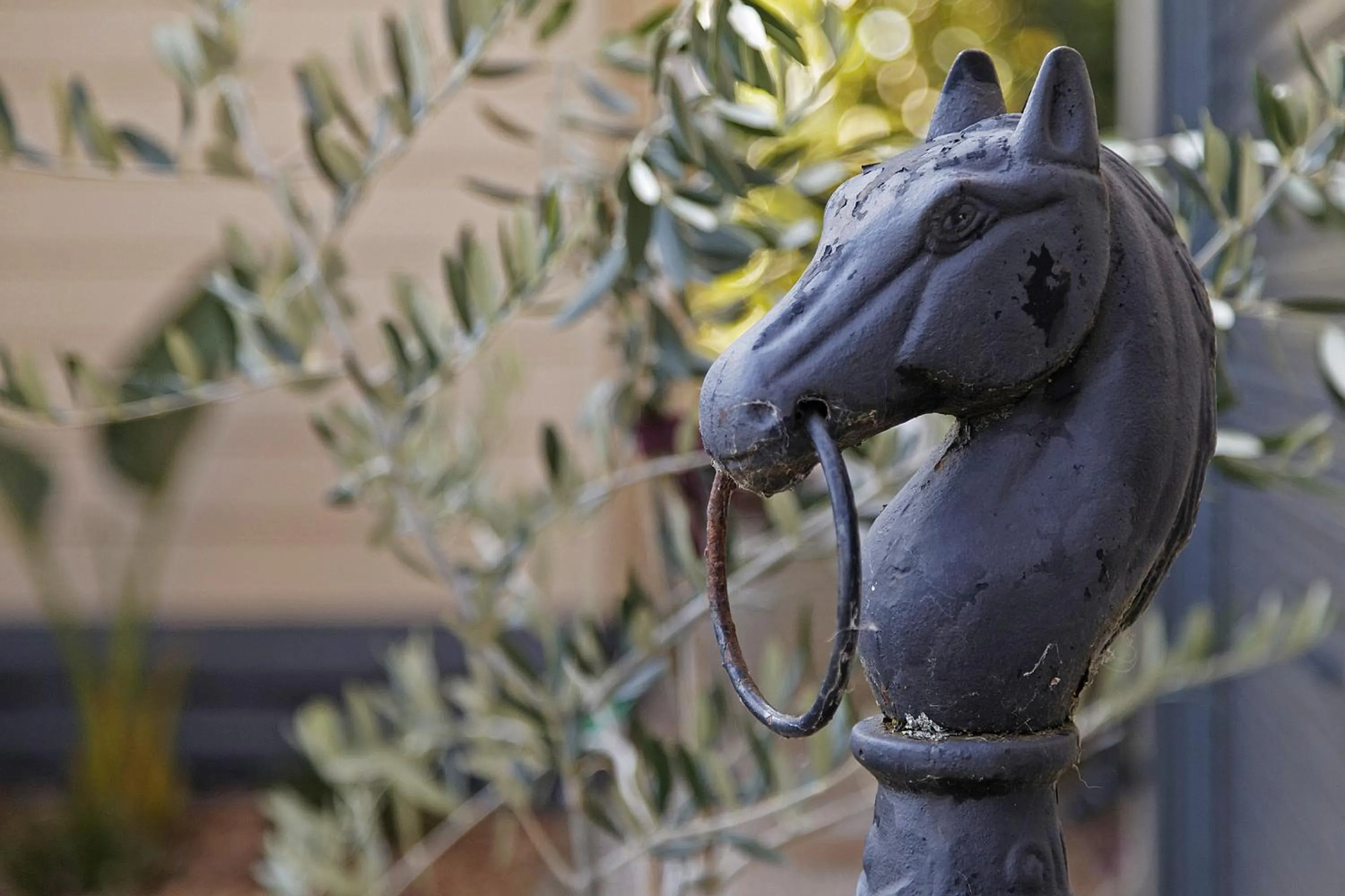 Garden in Emerald Ridge