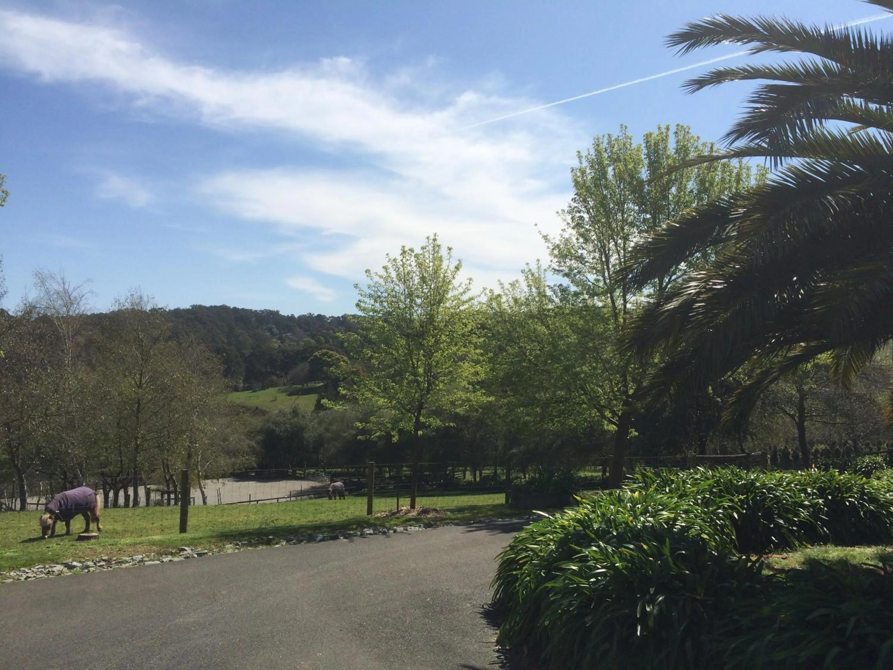 Garden in Emerald Ridge