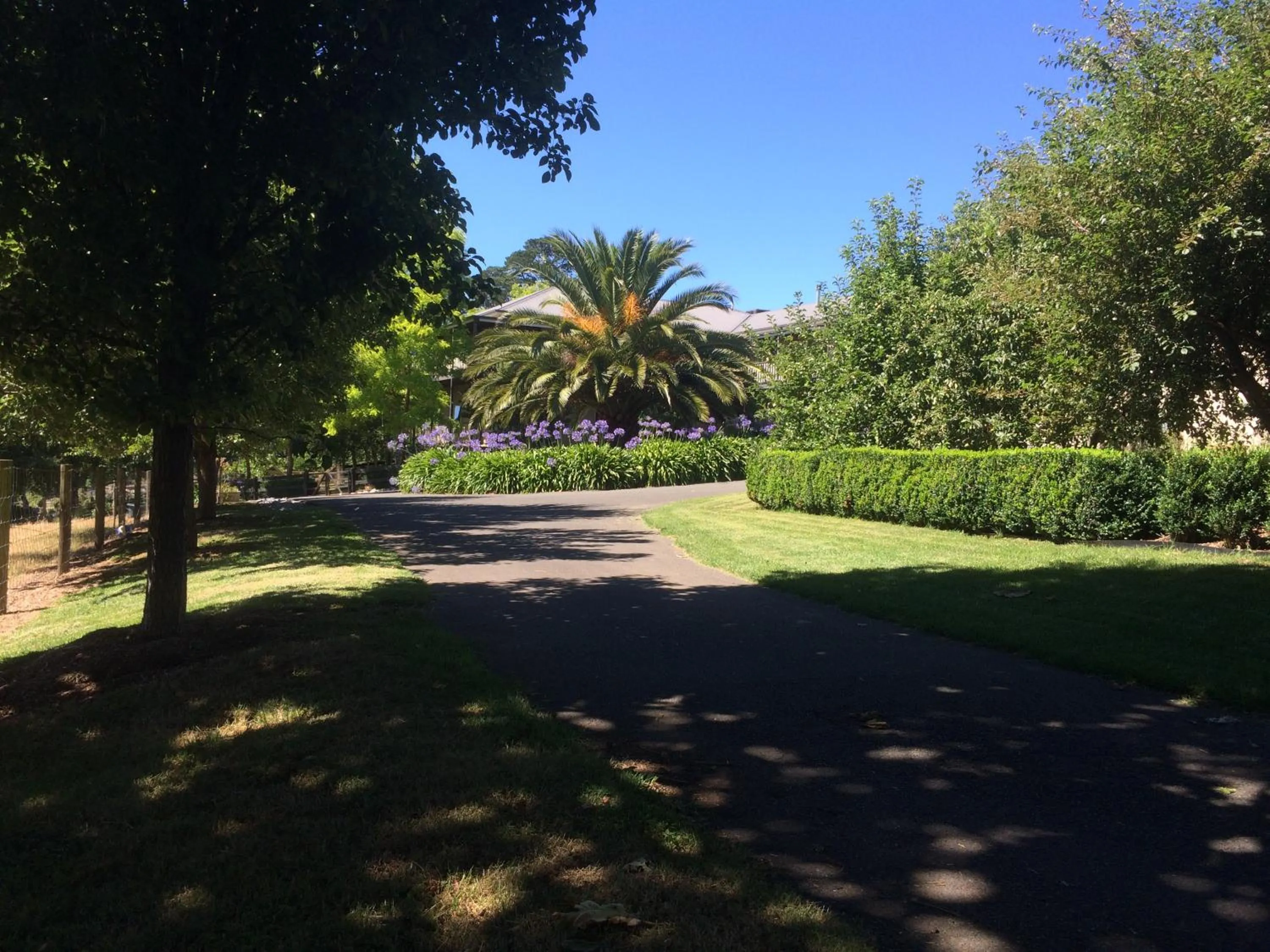 Garden in Emerald Ridge