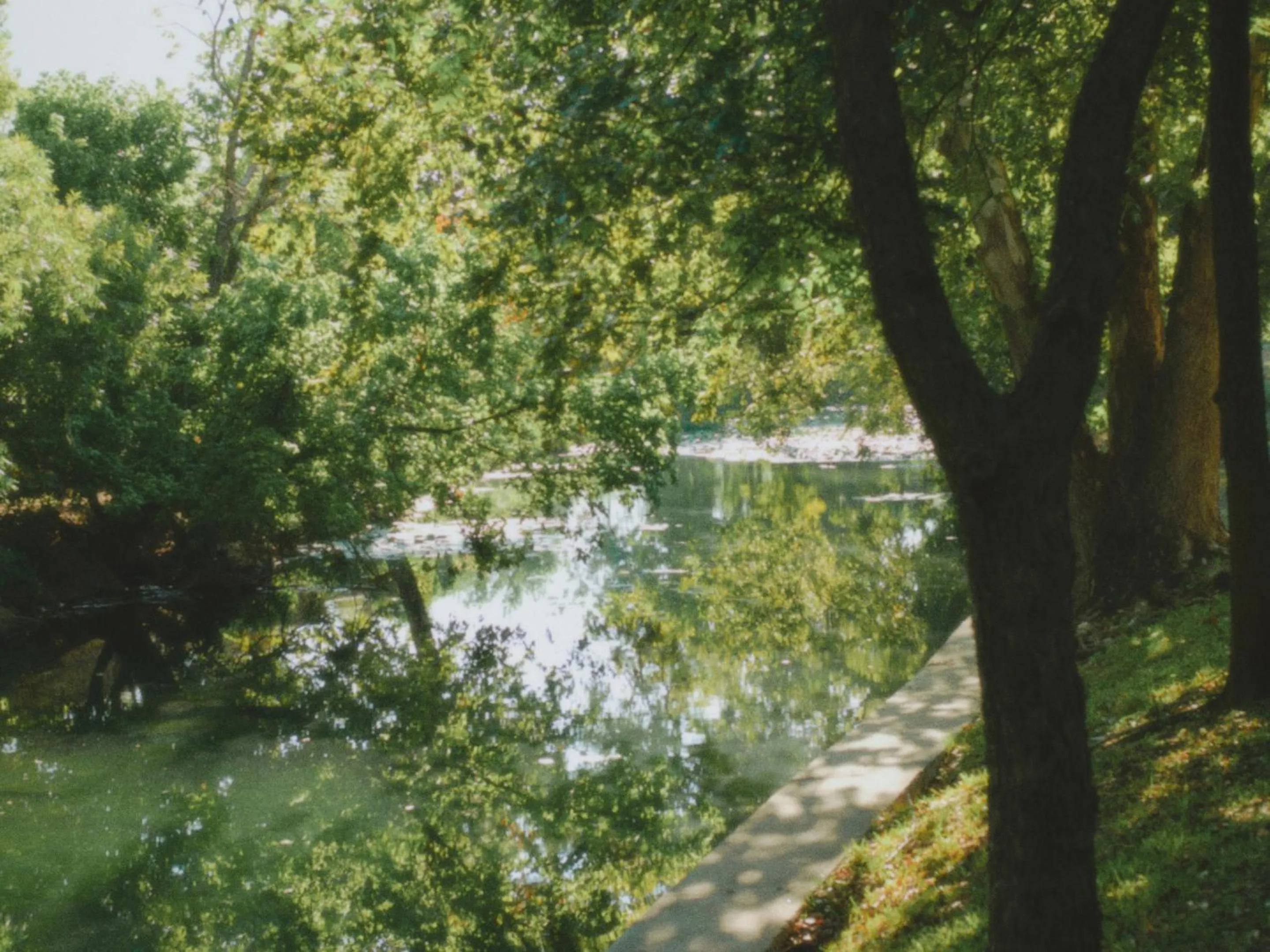 Lake view in Heidelberg Lodges