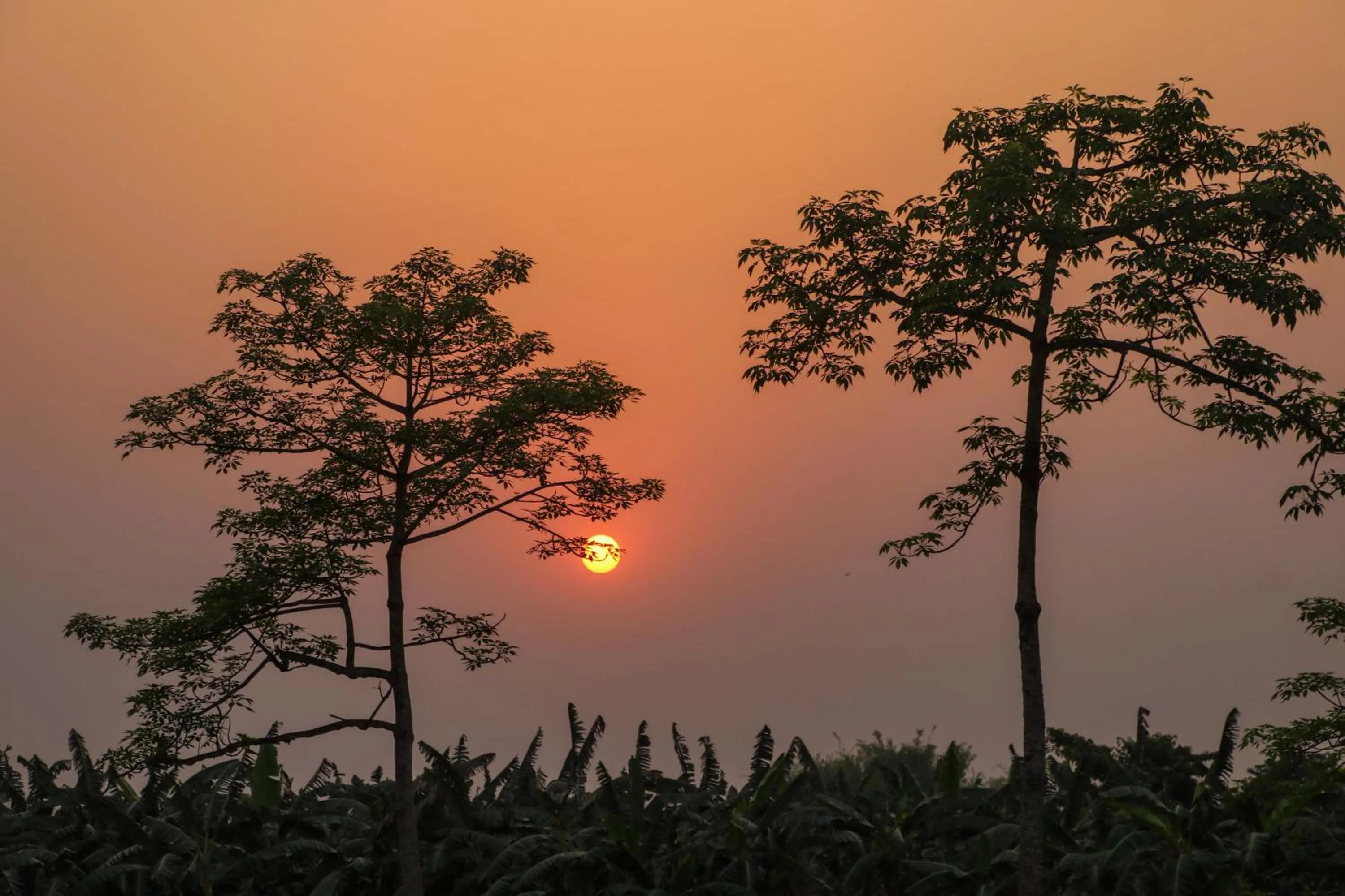 Sunset in Hotel Yatra Sauraha Pvt Ltd