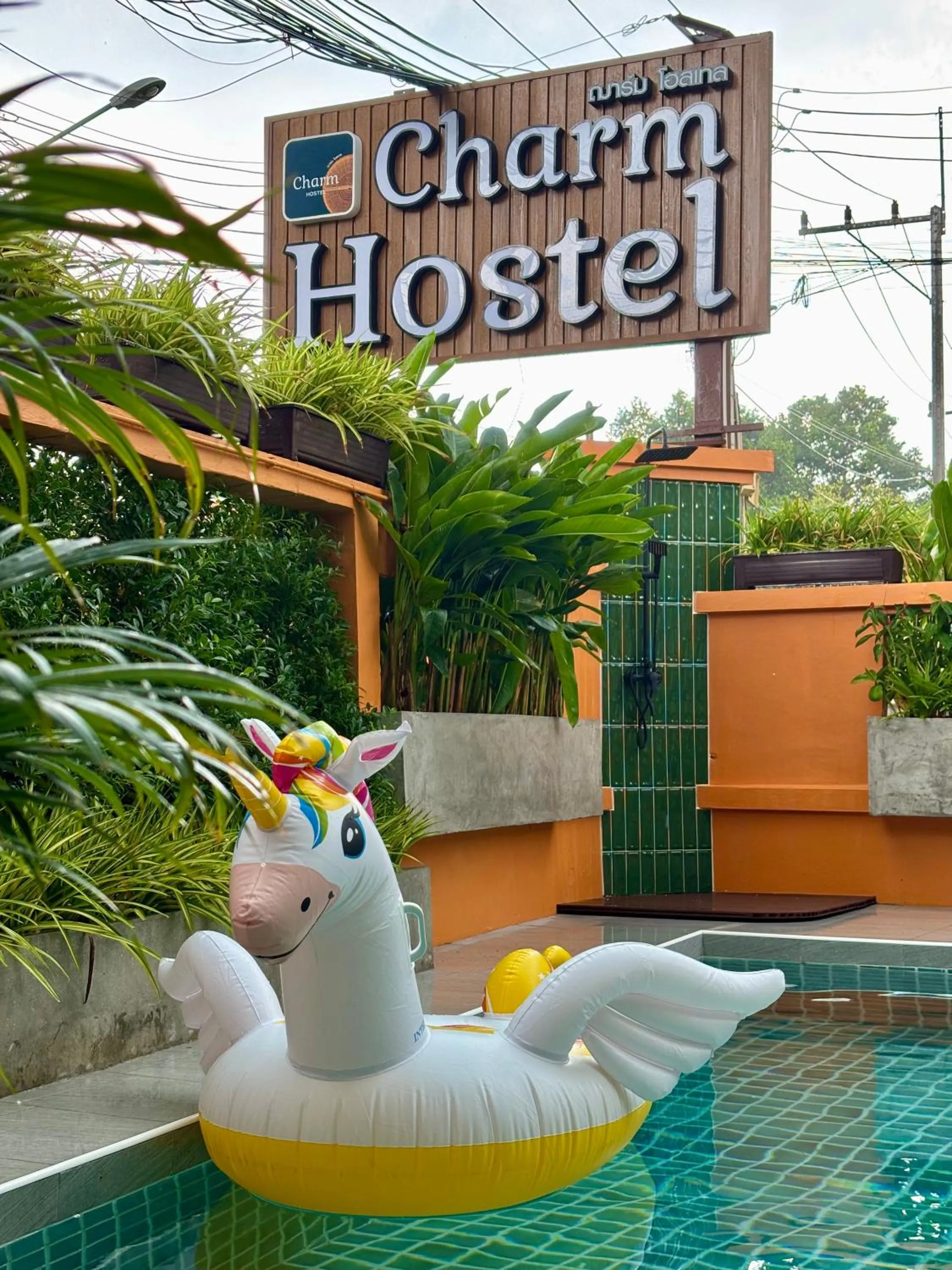 Swimming pool in Charm Hostel at Pratumnak