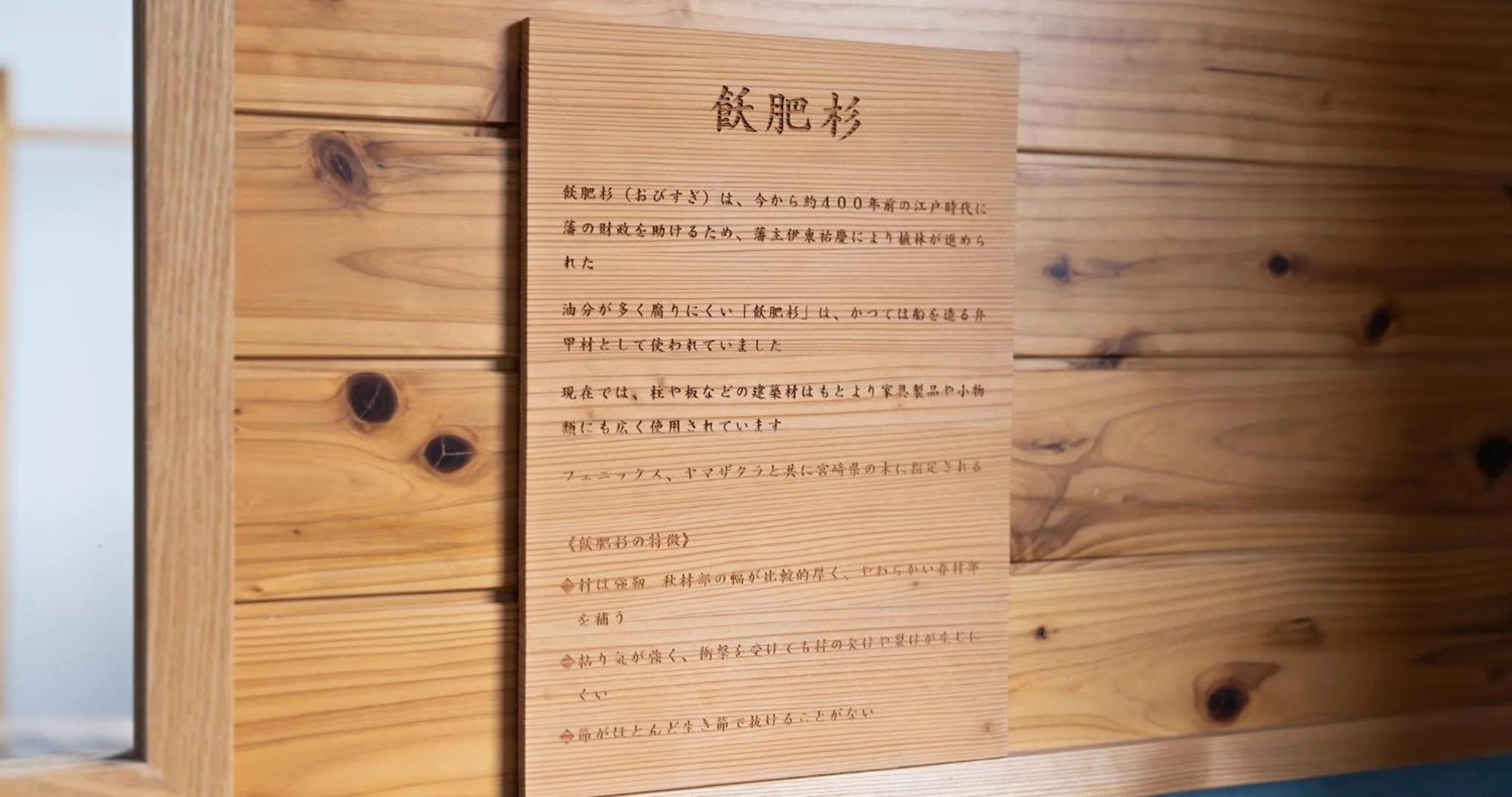 Hotel SEASONS NICHINAN