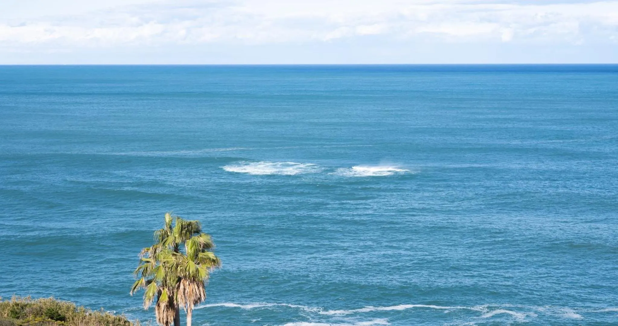 Nearby landmark in Hotel SEASONS NICHINAN