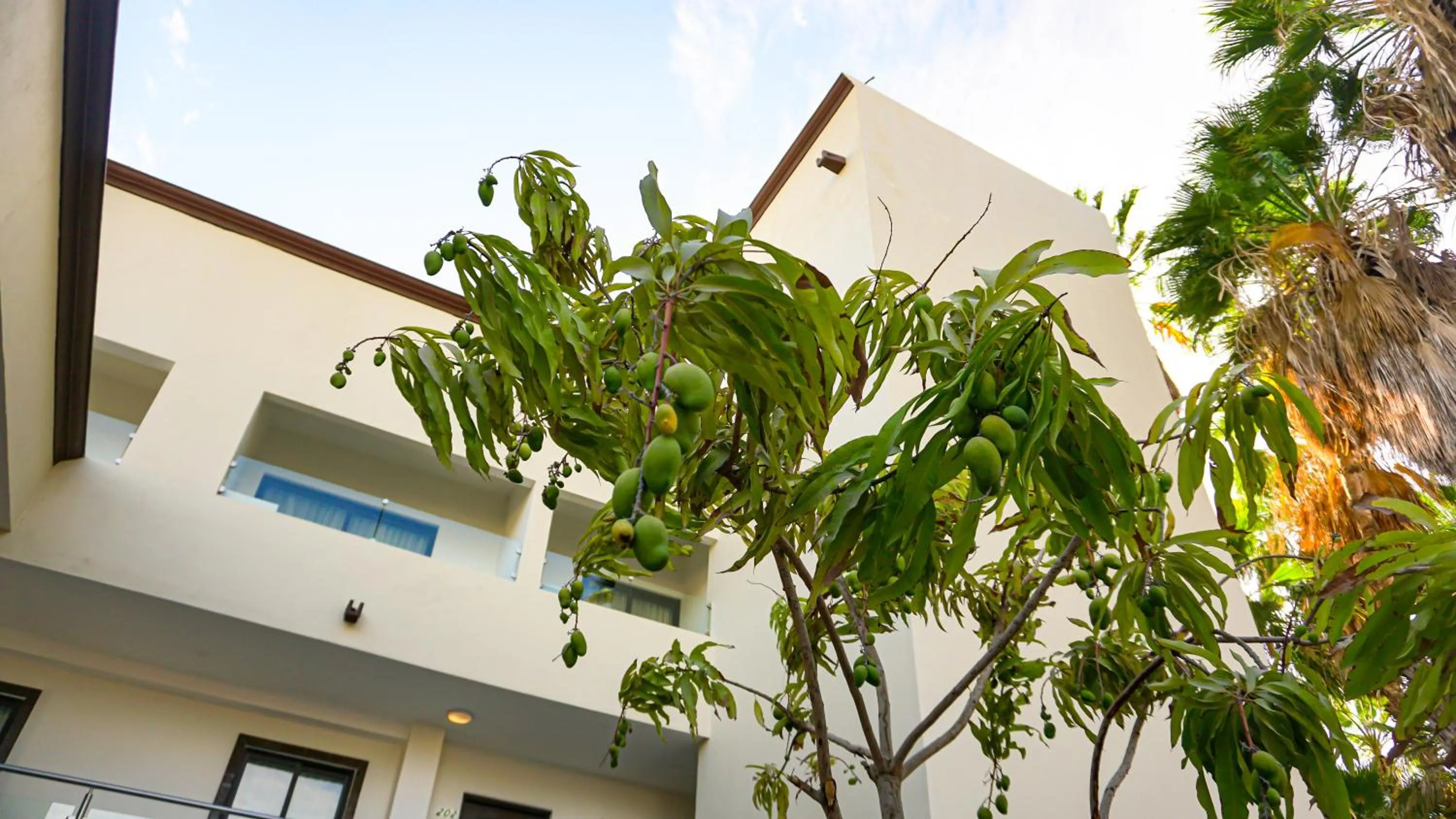 Natural landscape in Hotel Loreto Palmar
