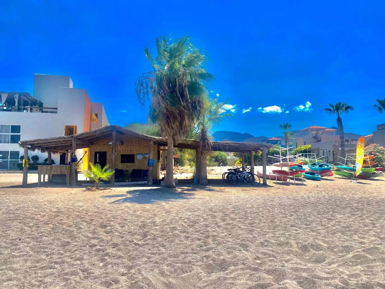 Activities in Hotel Loreto Palmar