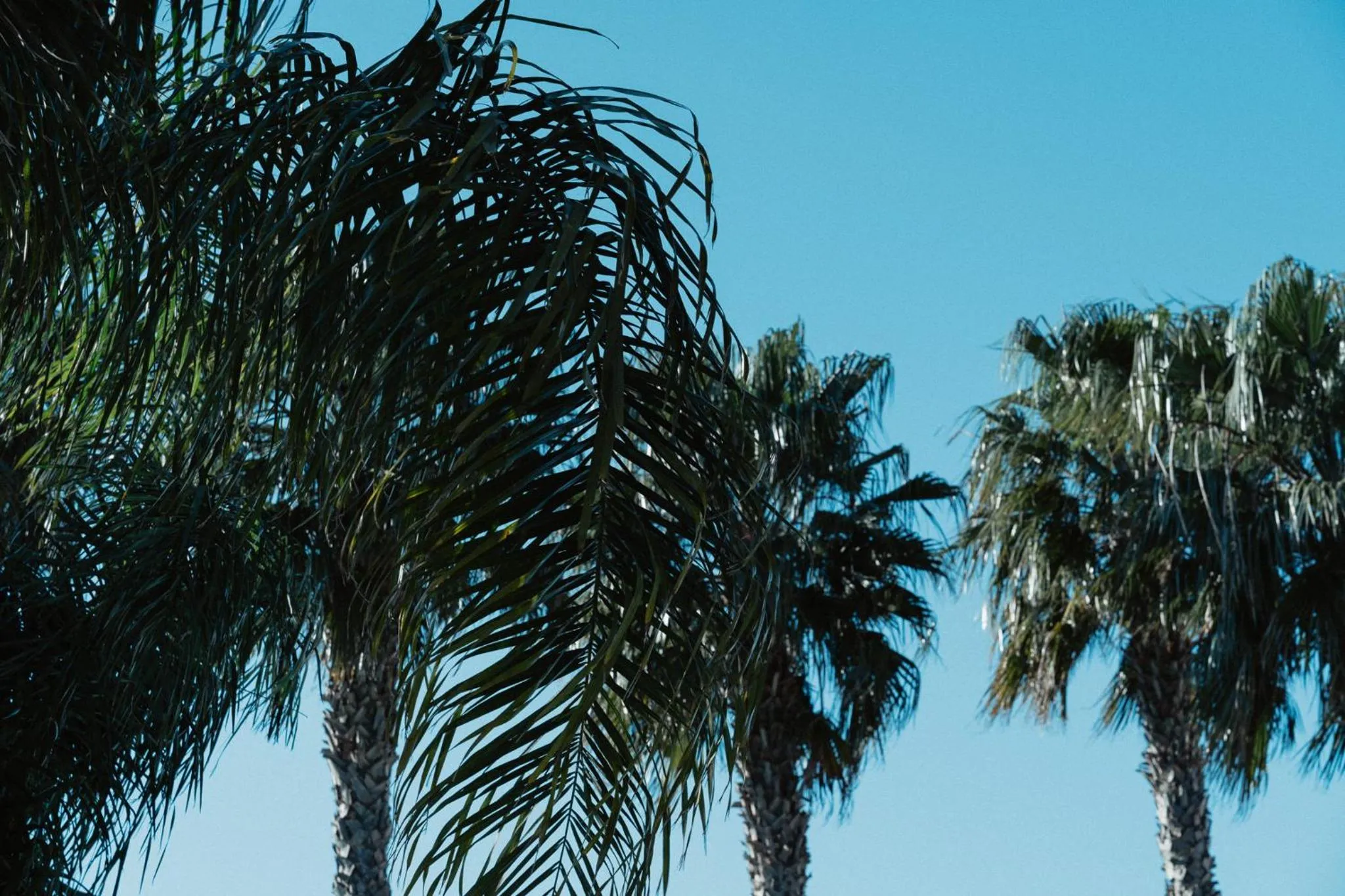 Property building in Sanlu Hotel