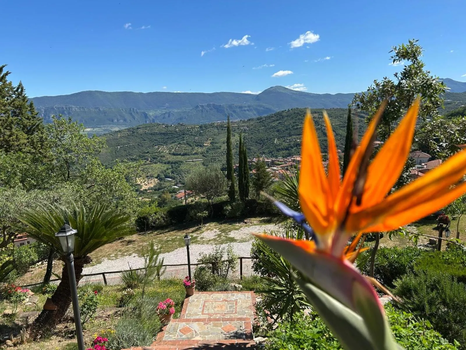 Spring in B&B Albachiara Casa di Campagna