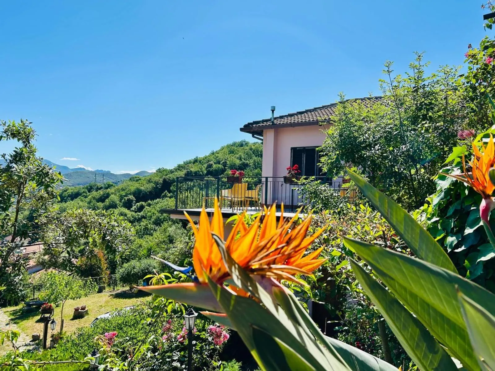 Spring in B&B Albachiara Casa di Campagna