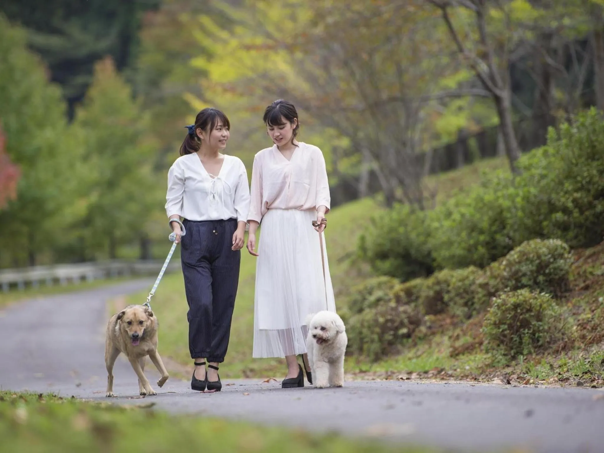 Natural landscape in Wan Wan Paradise Matsusaka
