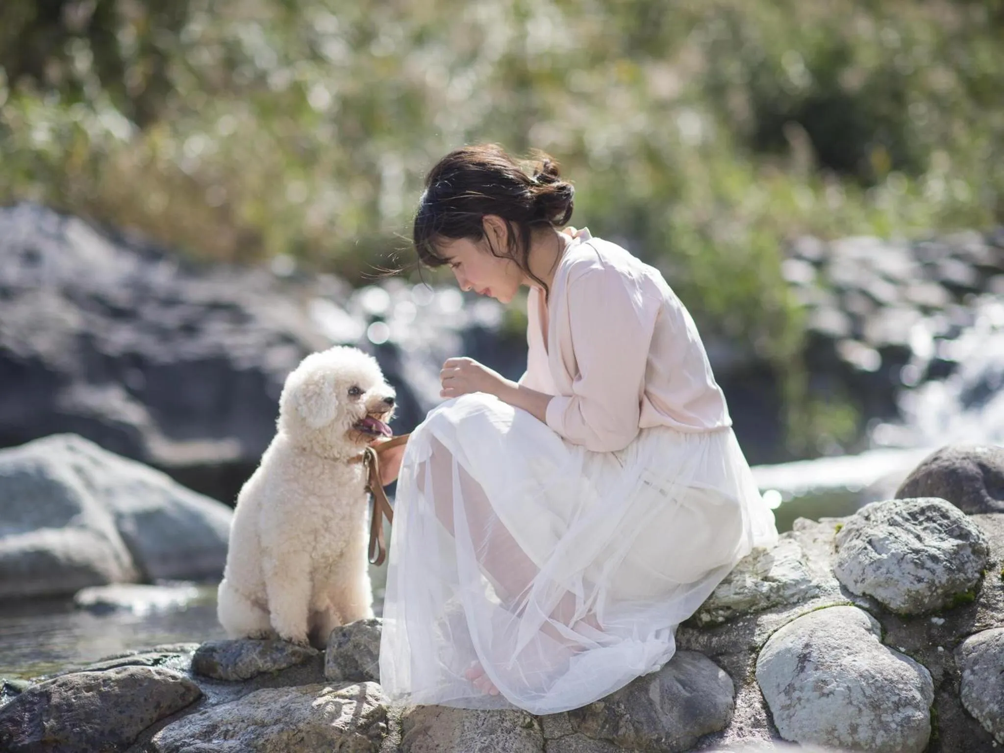 Natural landscape in Wan Wan Paradise Matsusaka