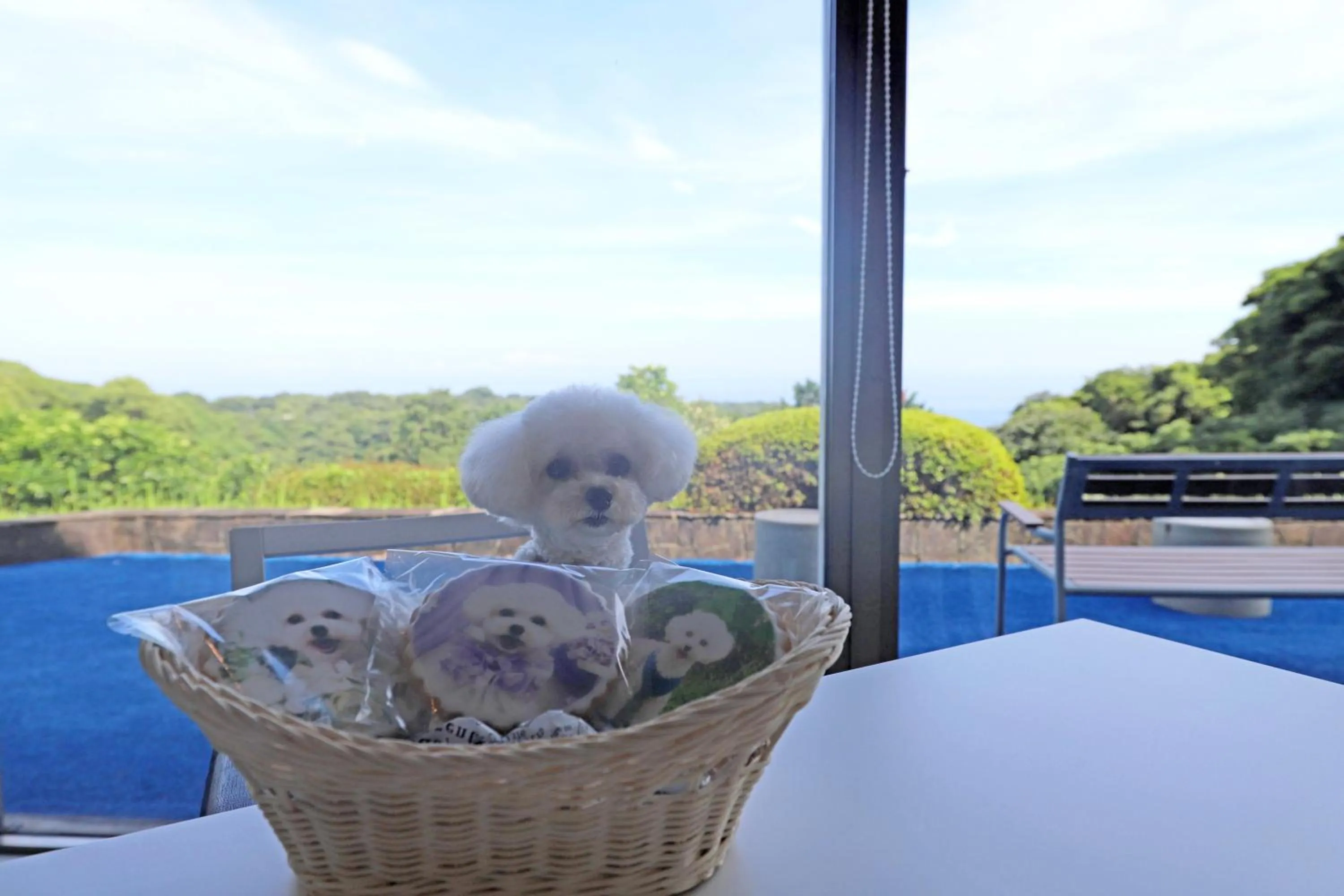 Food and drinks in Wan's Resort Jogasaki