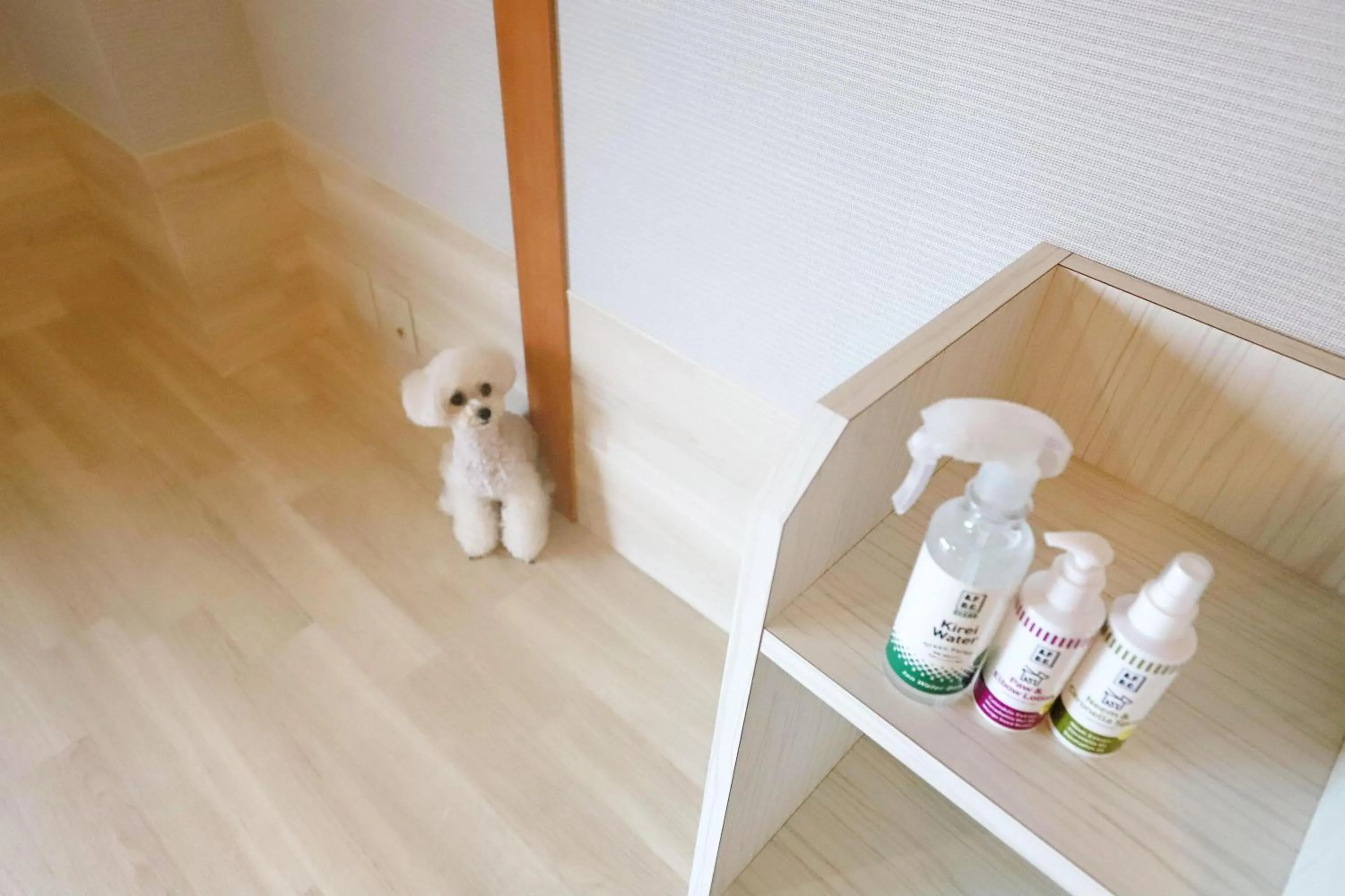 Area and facilities in Wan's Resort Jogasaki