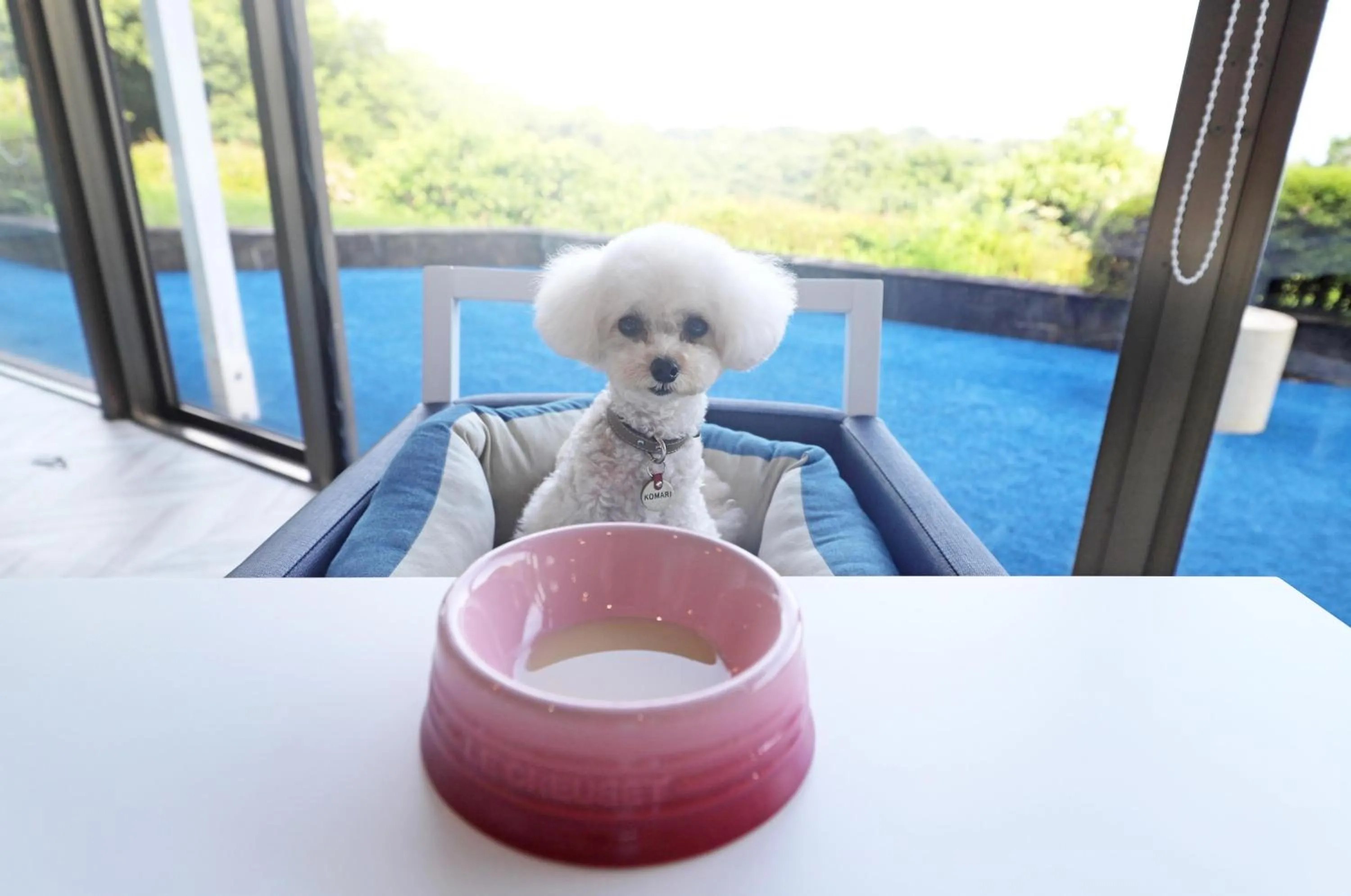 Food and drinks in Wan's Resort Jogasaki