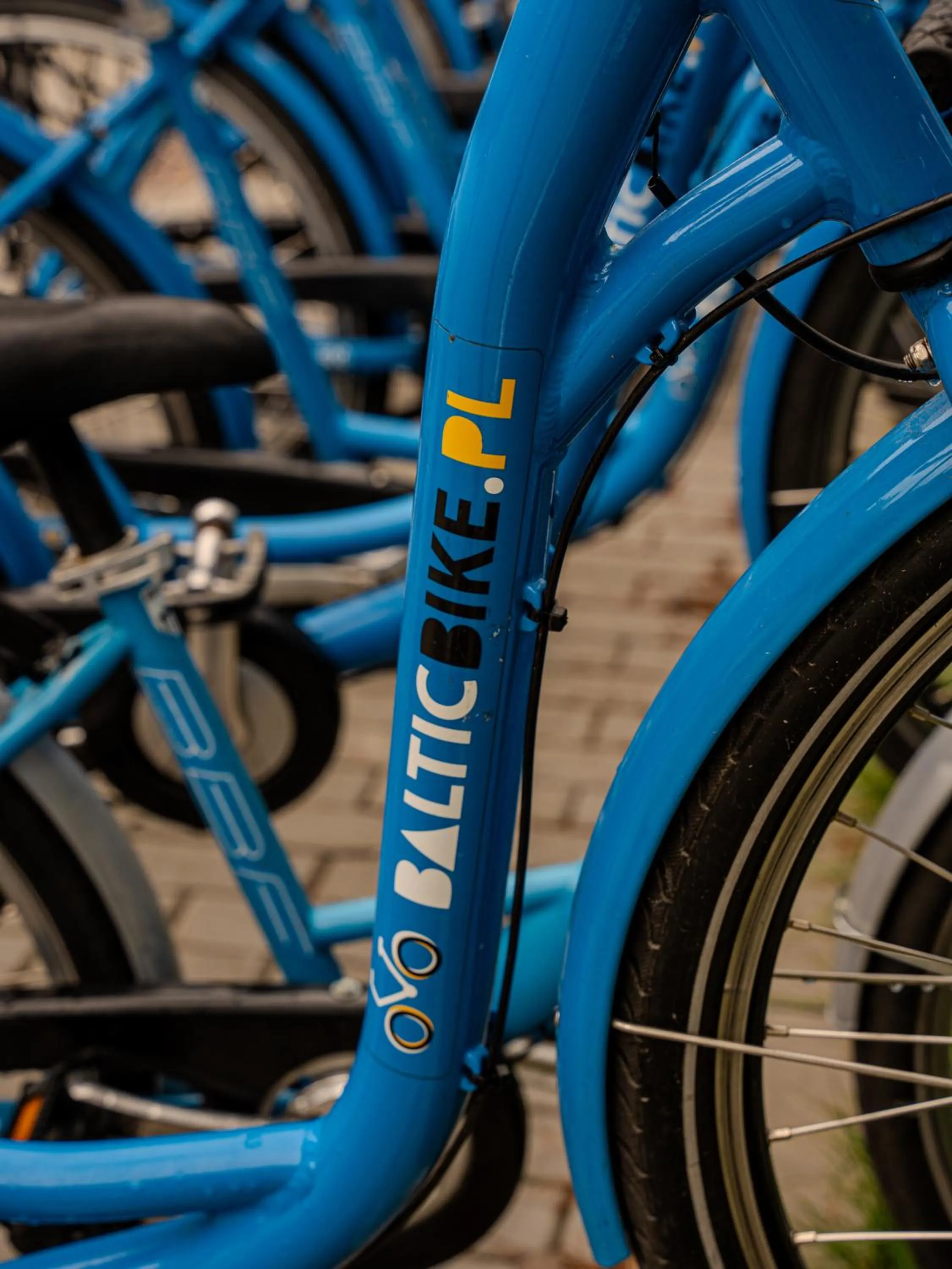 Cycling in Sea & Forest Resort Międzyzdroje