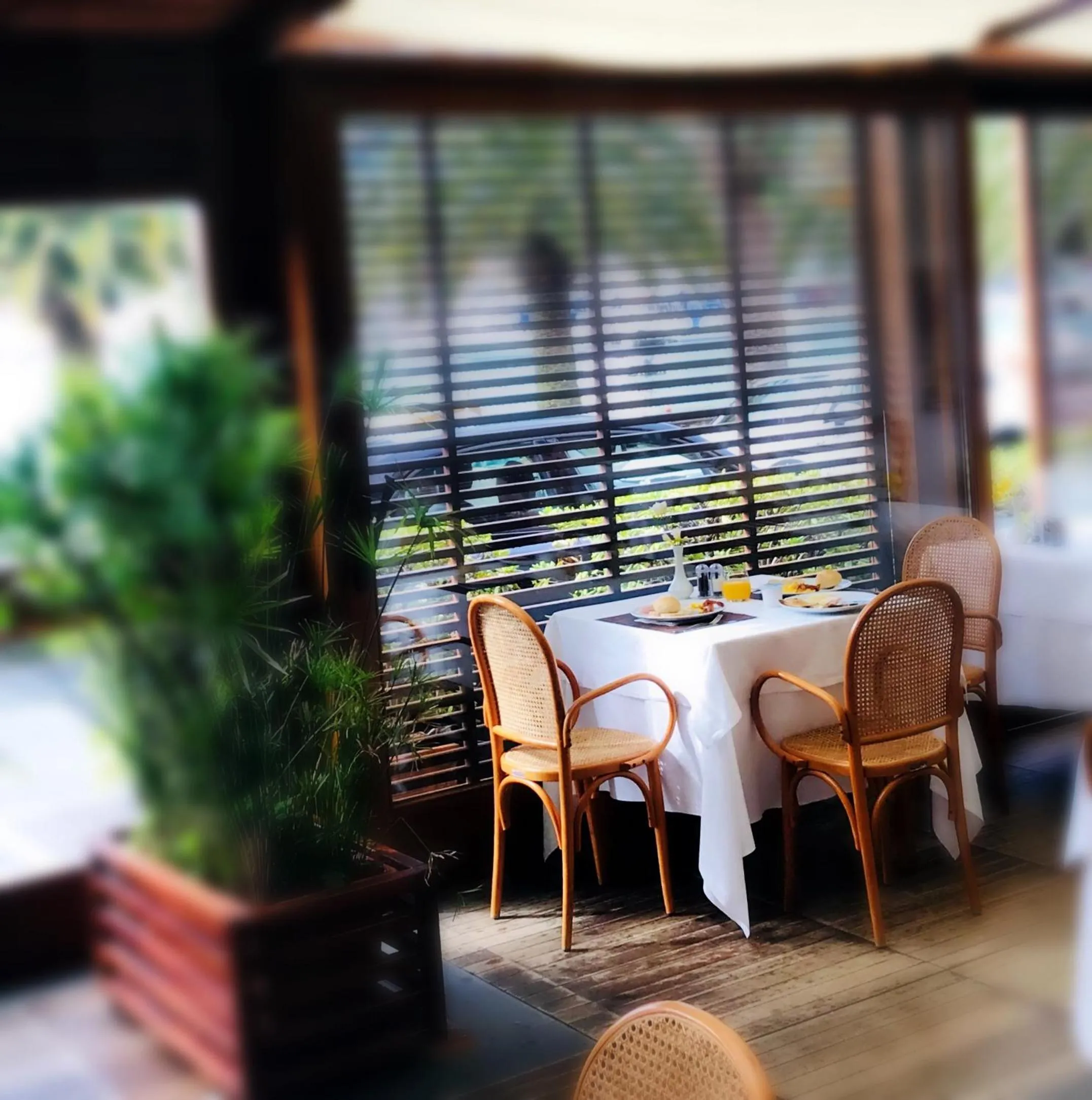 Buffet breakfast in Hotel Della Baia