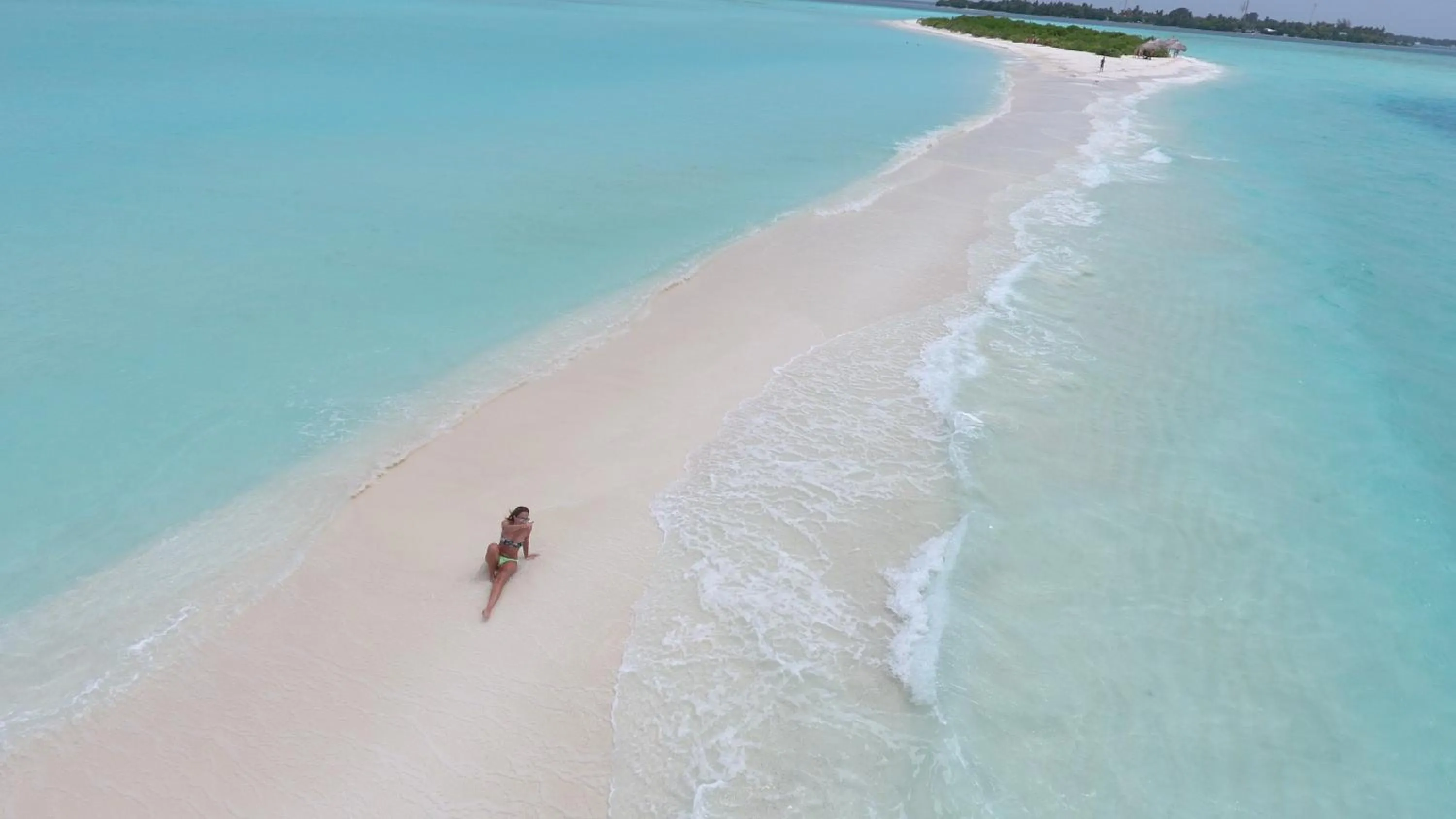 Natural landscape in Palm Residence