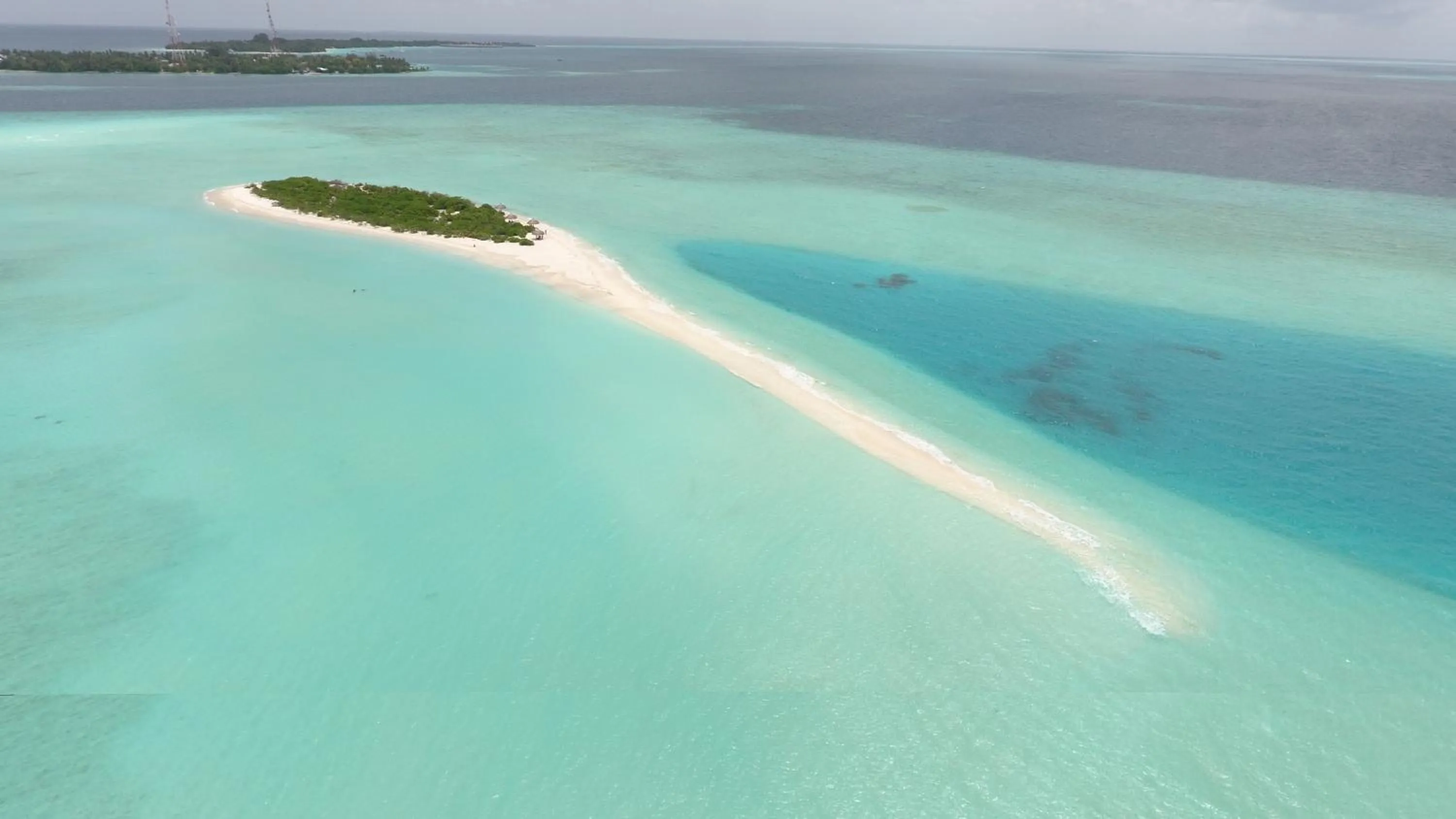 Natural landscape in Palm Residence