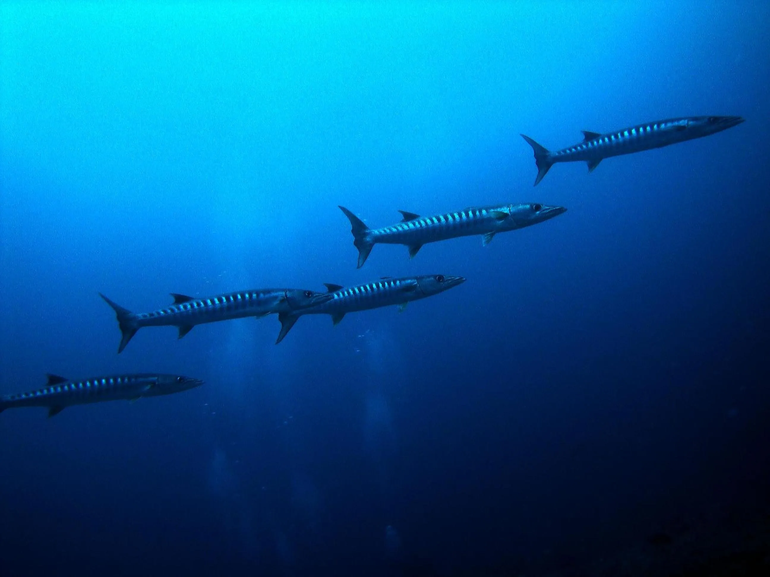 Activities in Palm Residence