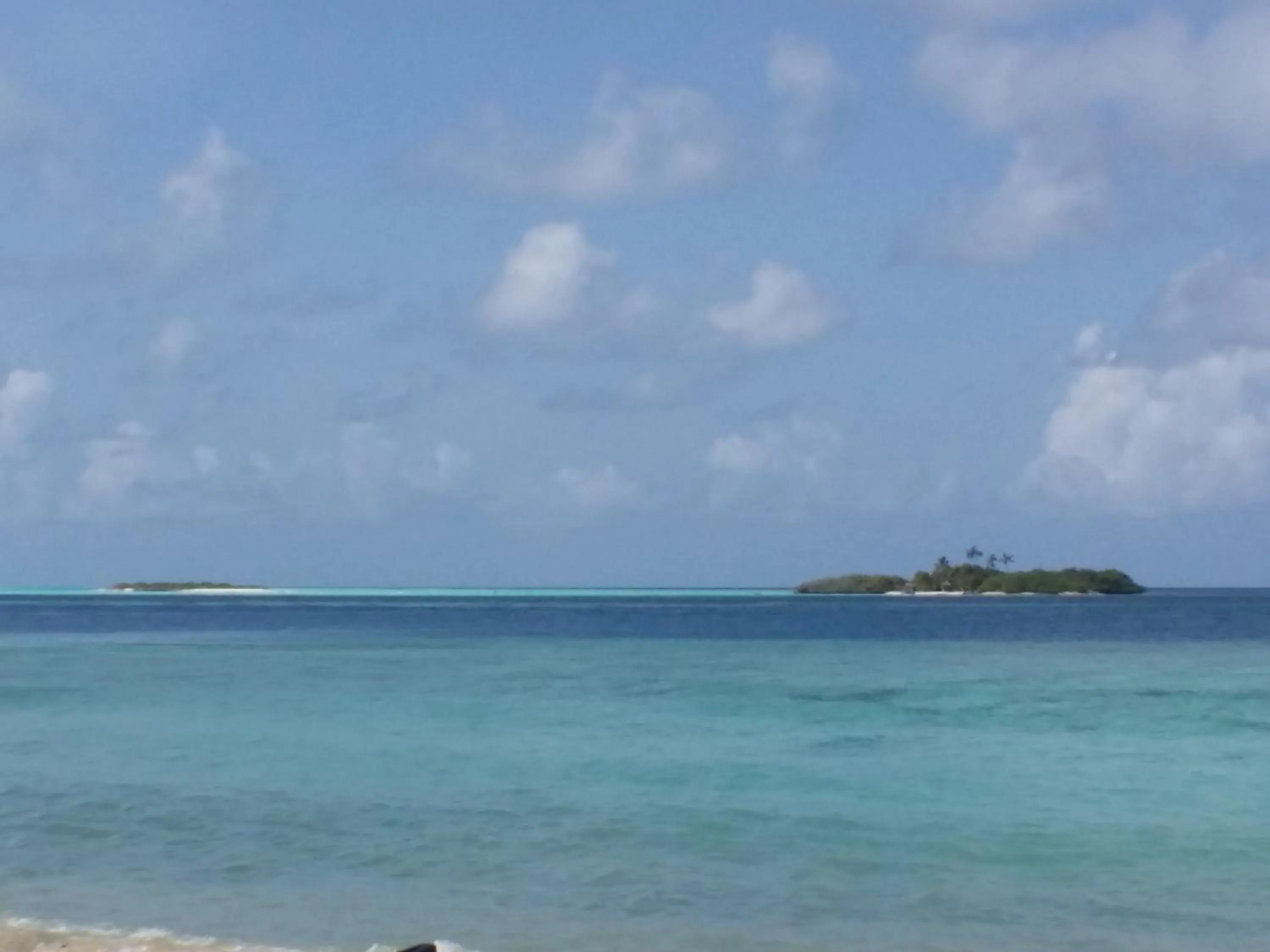 Natural landscape in Palm Residence