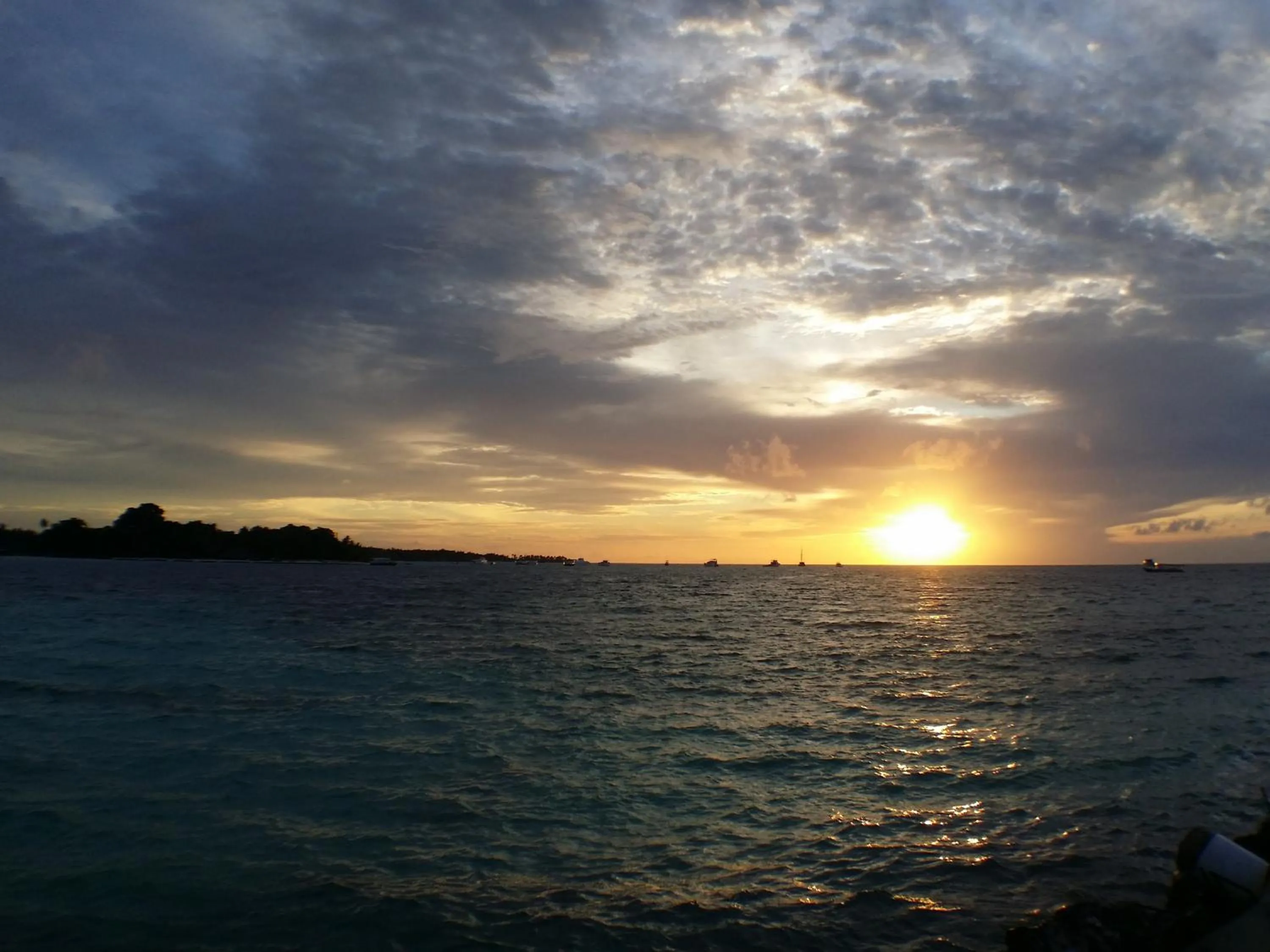 Natural landscape in Palm Residence