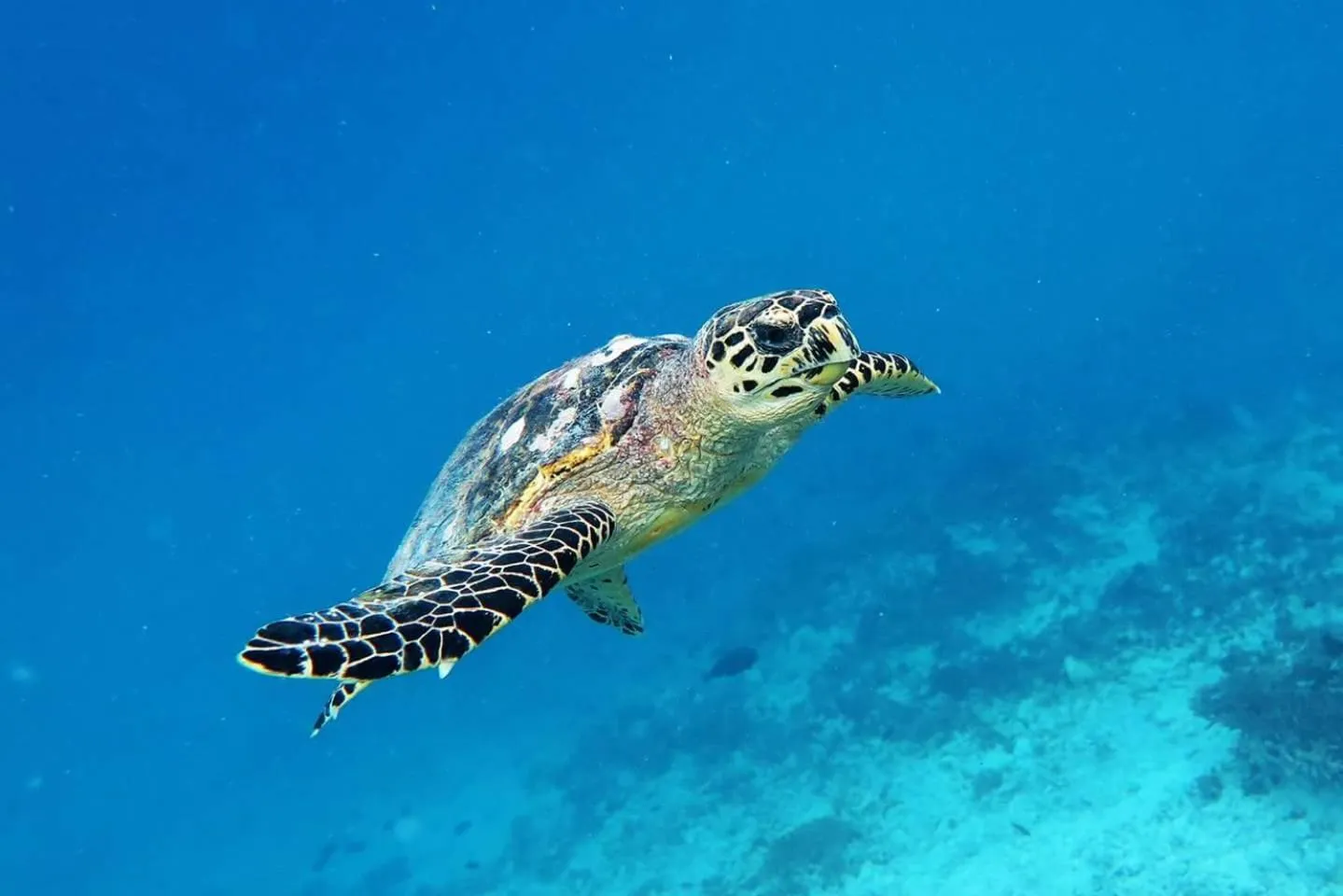 Activities in Palm Residence