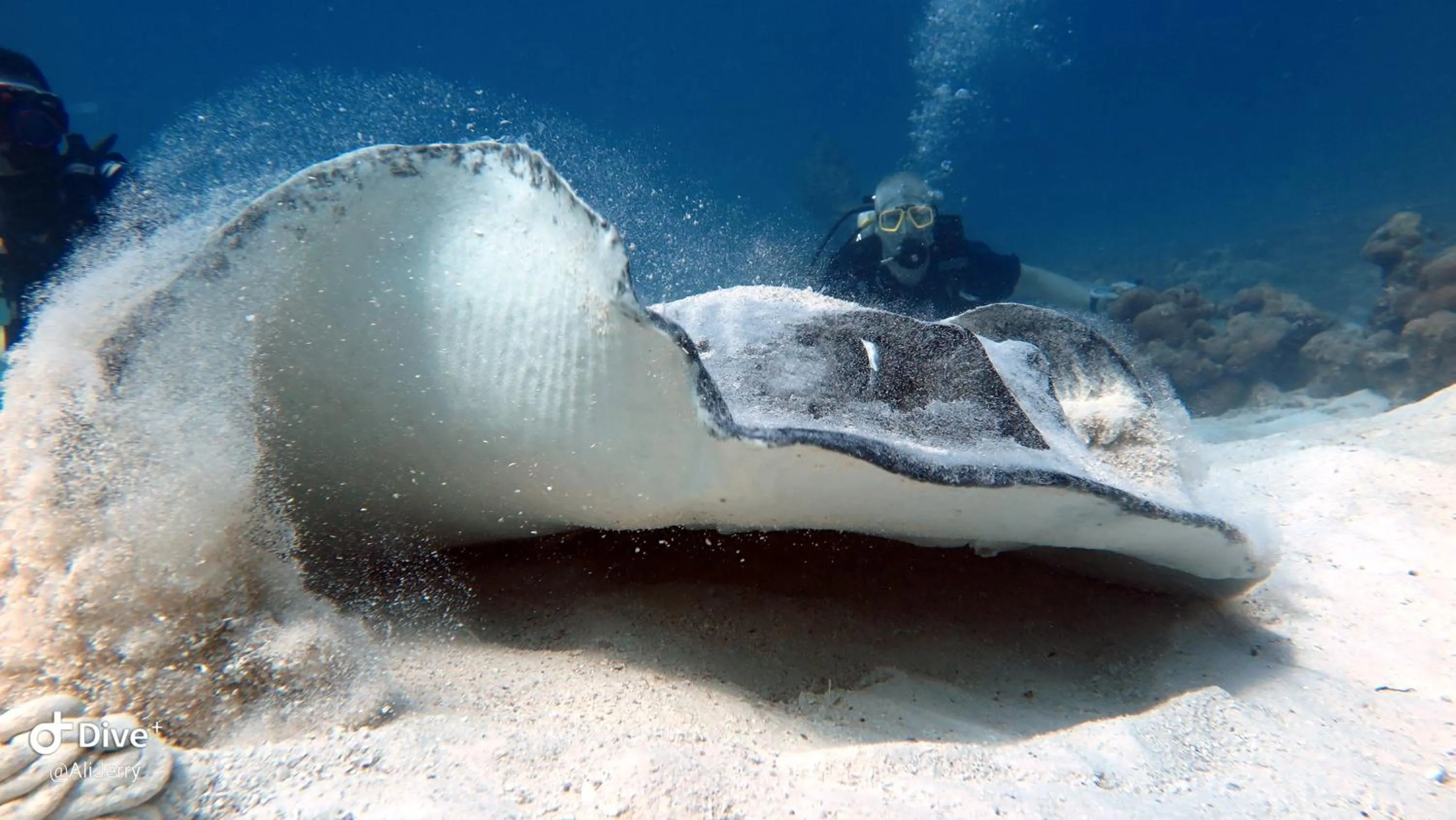 Natural landscape in Palm Residence