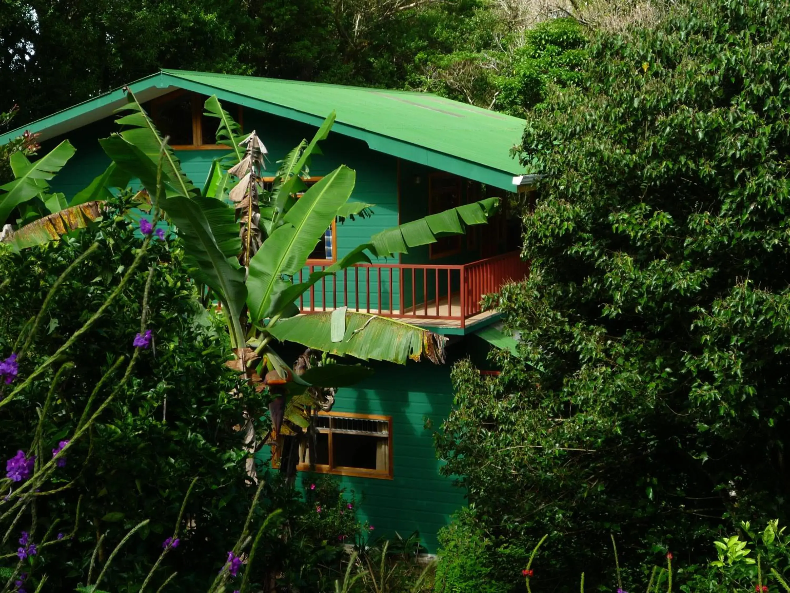 Hospedaje Mariposa Hospedaje Mariposa