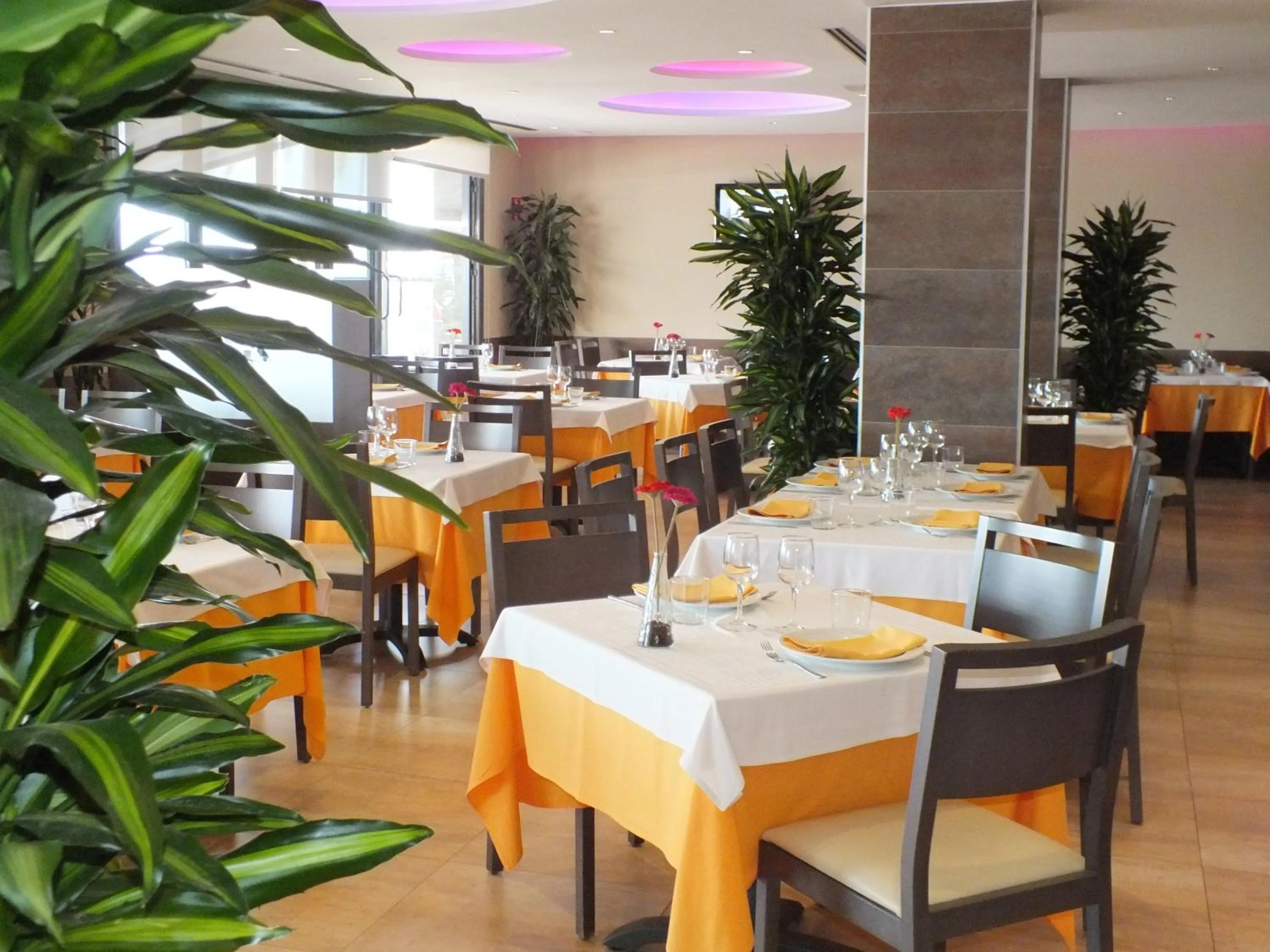Restaurant/places to eat in Hotel Risech