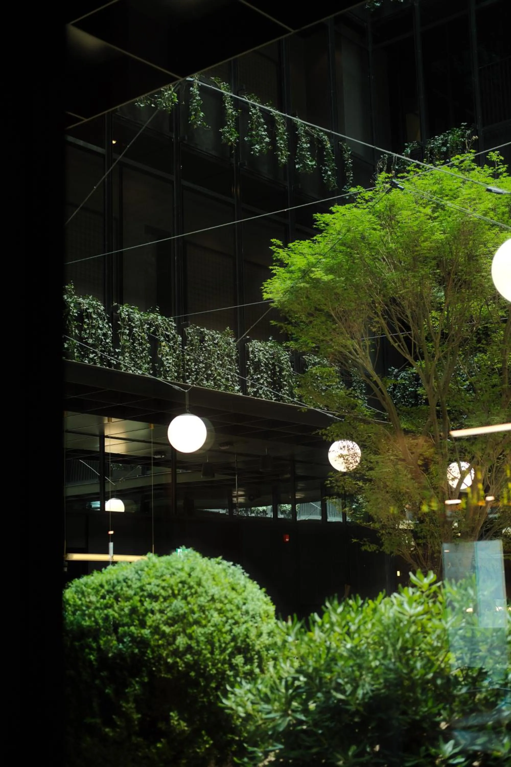 Garden in The Telegraph Hotel - The Leading Hotels of the World